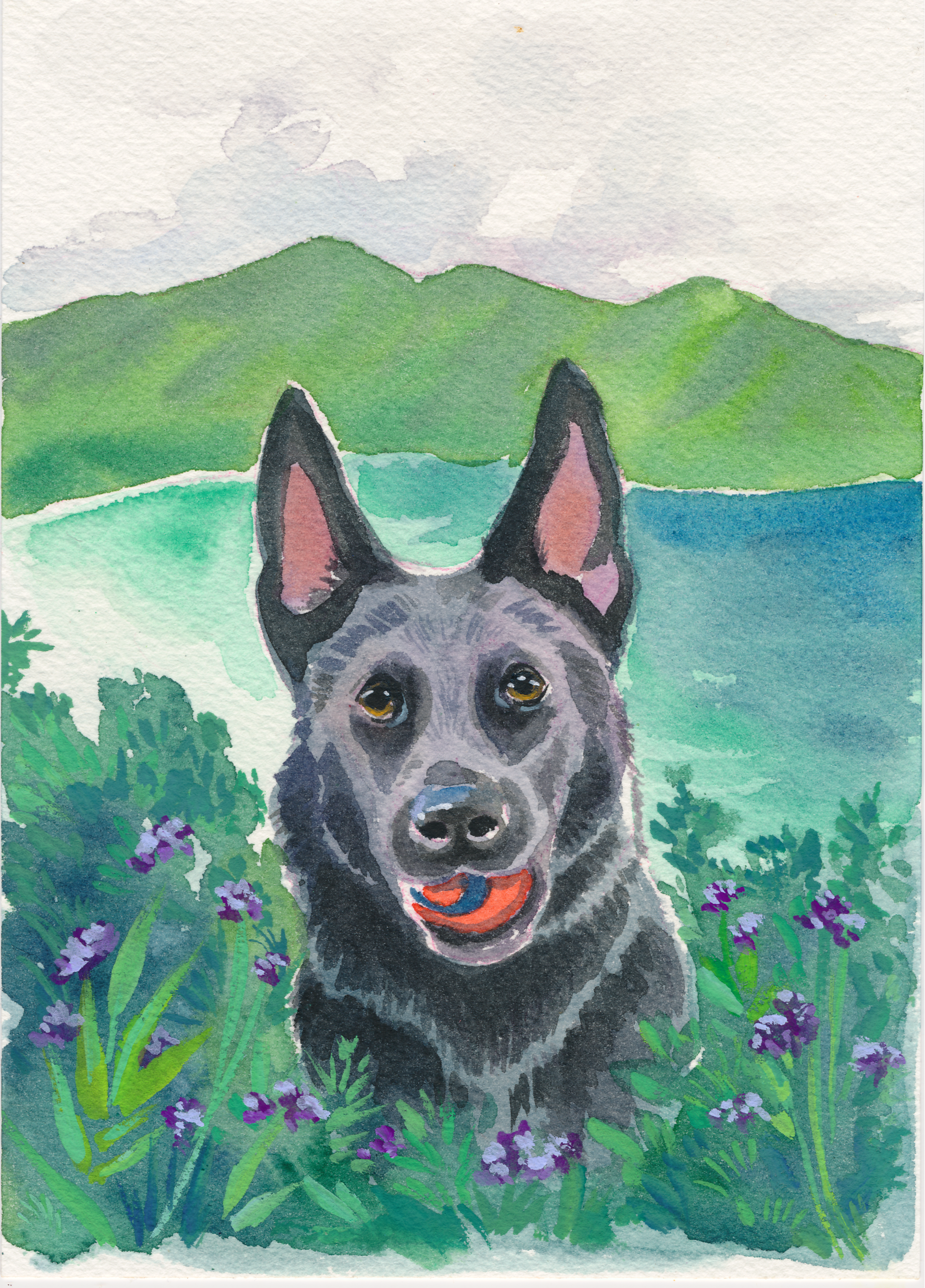 Lilah with her favorite ball and hike 5x7 watercolor