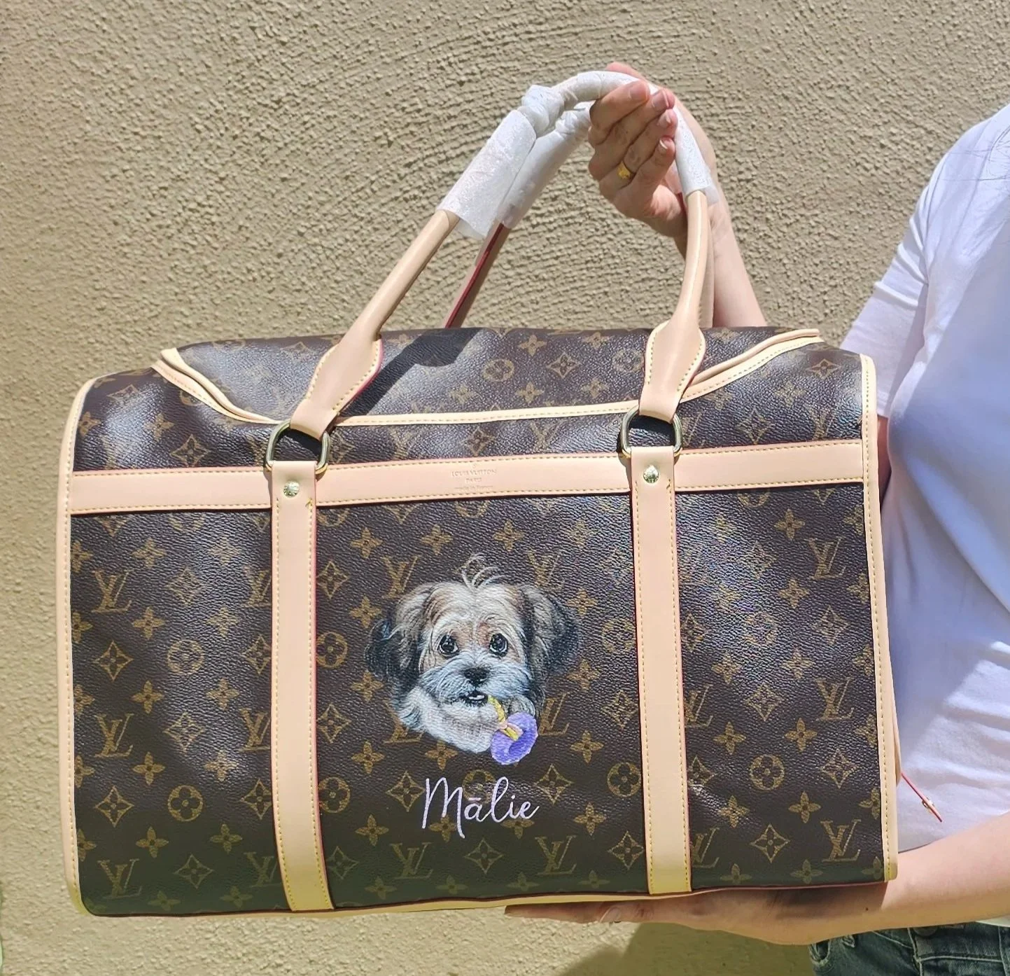 with favorite donut toy | LV Pet Carrier