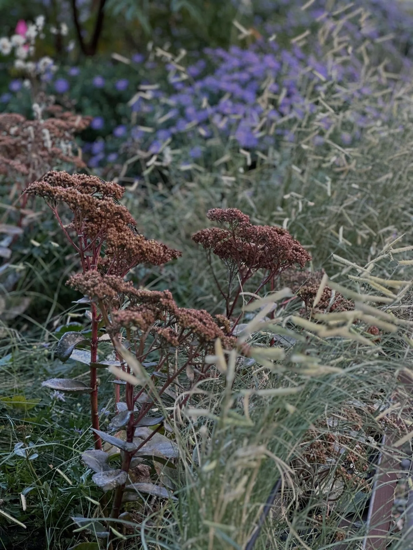 High Line Highlights