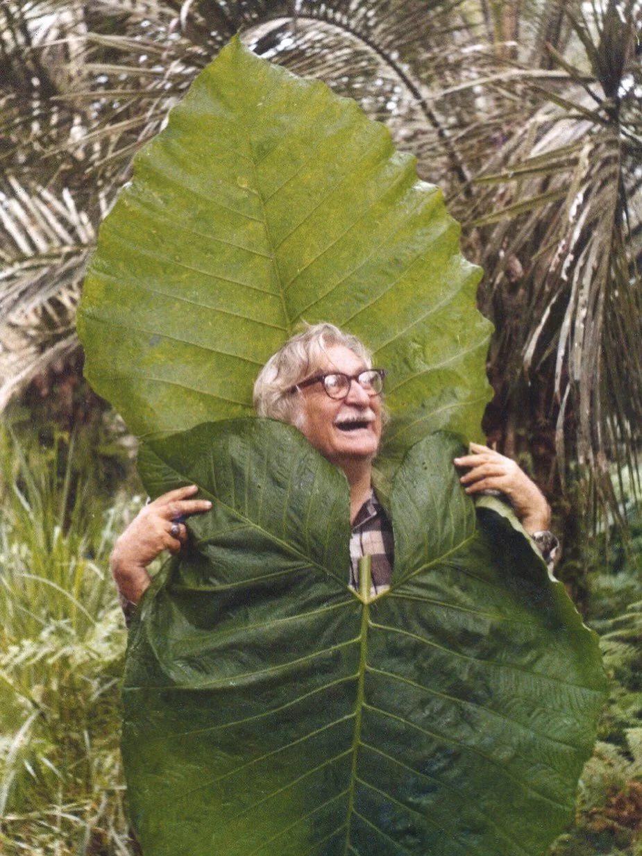 Current mood #robertoburlemarx