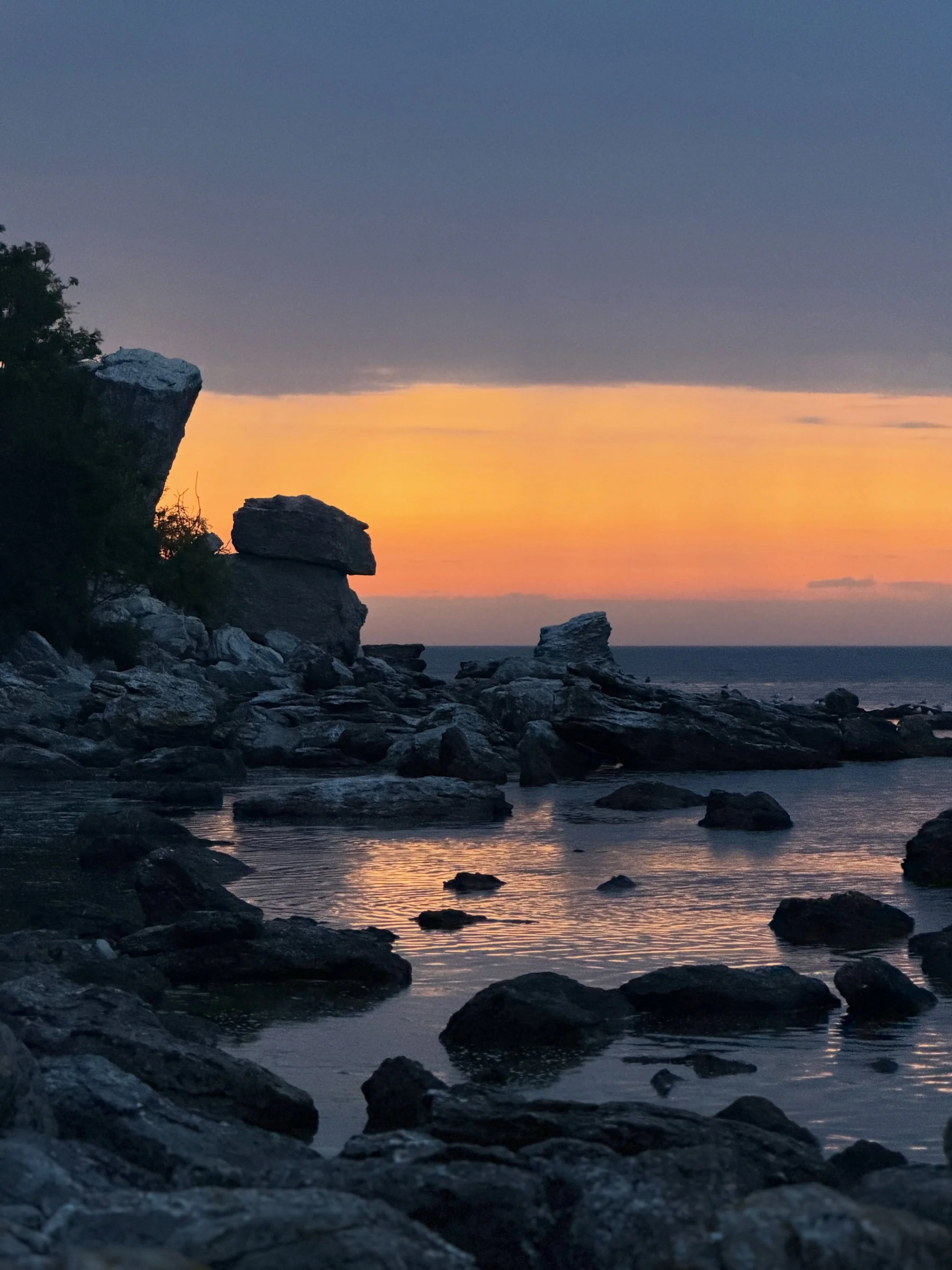 A visit to Stora Karls&ouml;, a magical island and nature preserve off of Gotland in Sweden. Its enjoyed more rain this summer than usual, and the abundant wildflower blooms are evidence of it.