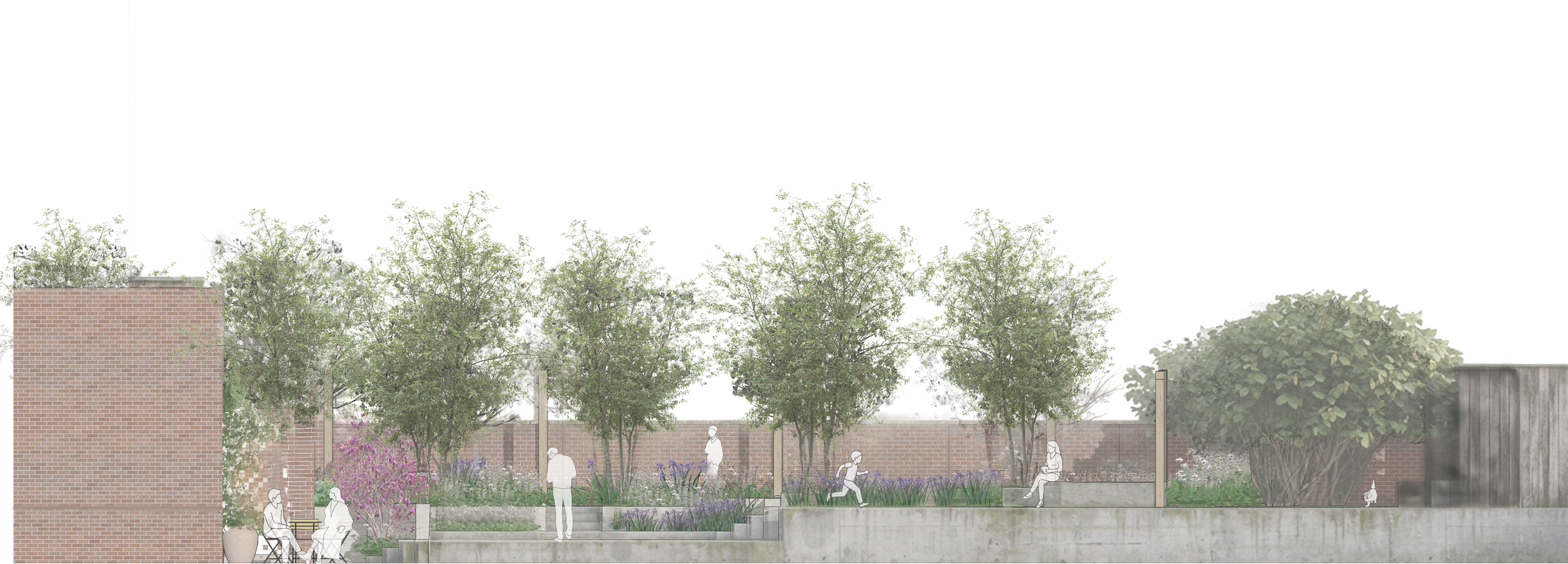 A section cut showing the Peckham garden in elevation