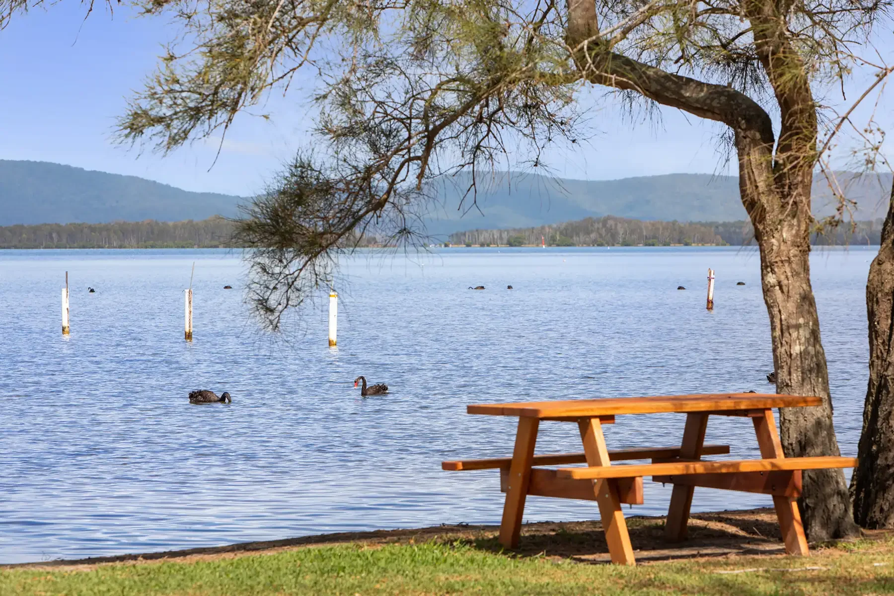 lake view with bench.webp