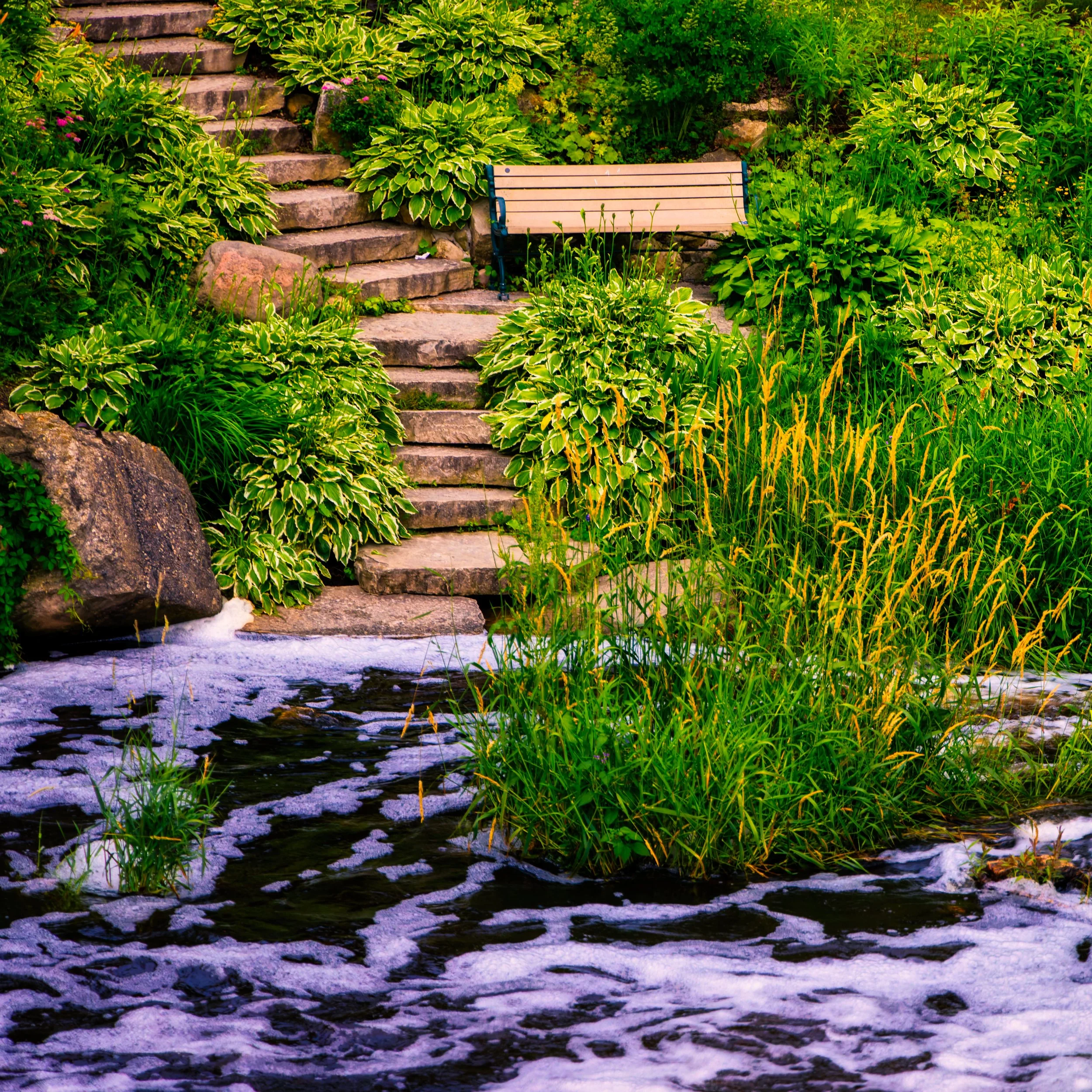 stone-steps-bench-stream-lush-greenery.jpg