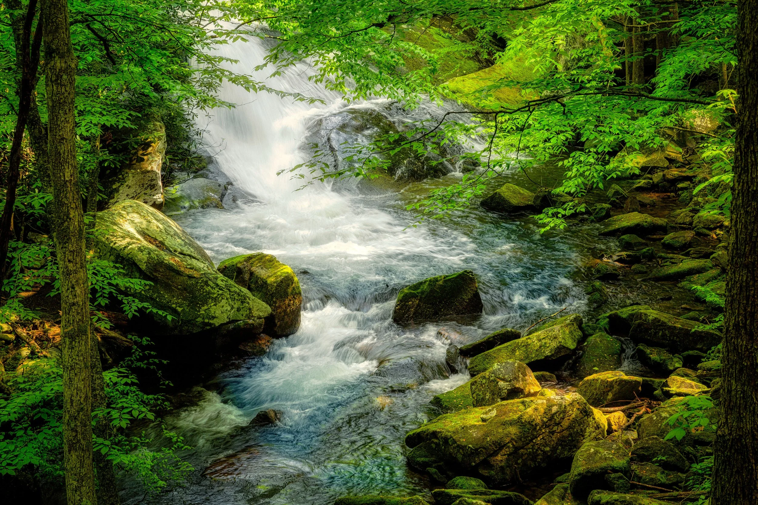unnamed-stream-waterfall-smoky-mountains-lush-greenery.jpg