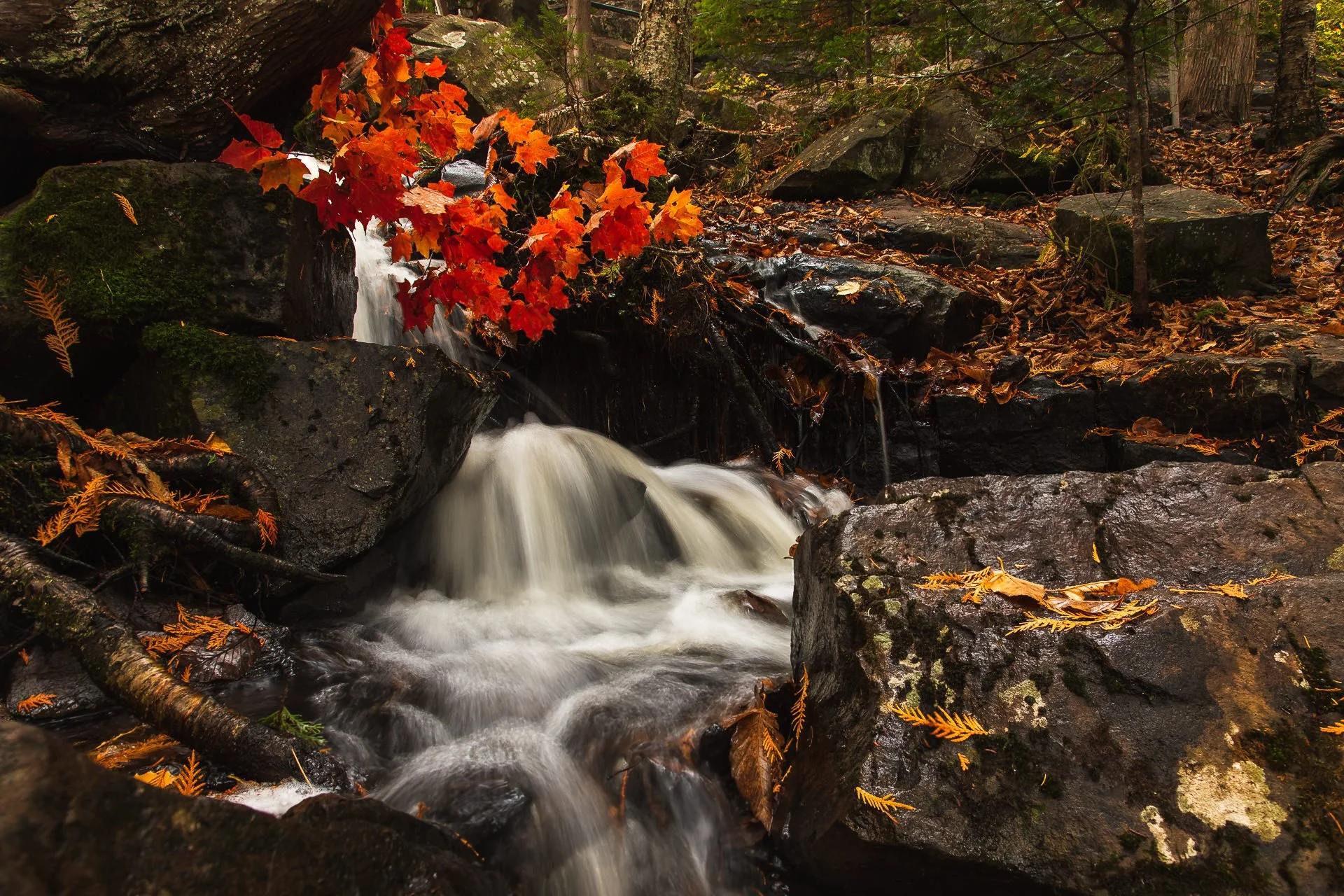 small-waterfall-near-bond-falls-michigan-autumn-red-leaves.jpg