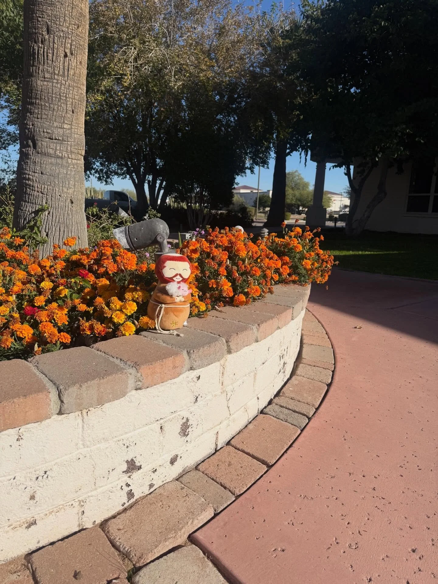 Round 11 of Where&rsquo;s St. Francis! Take your guess below!