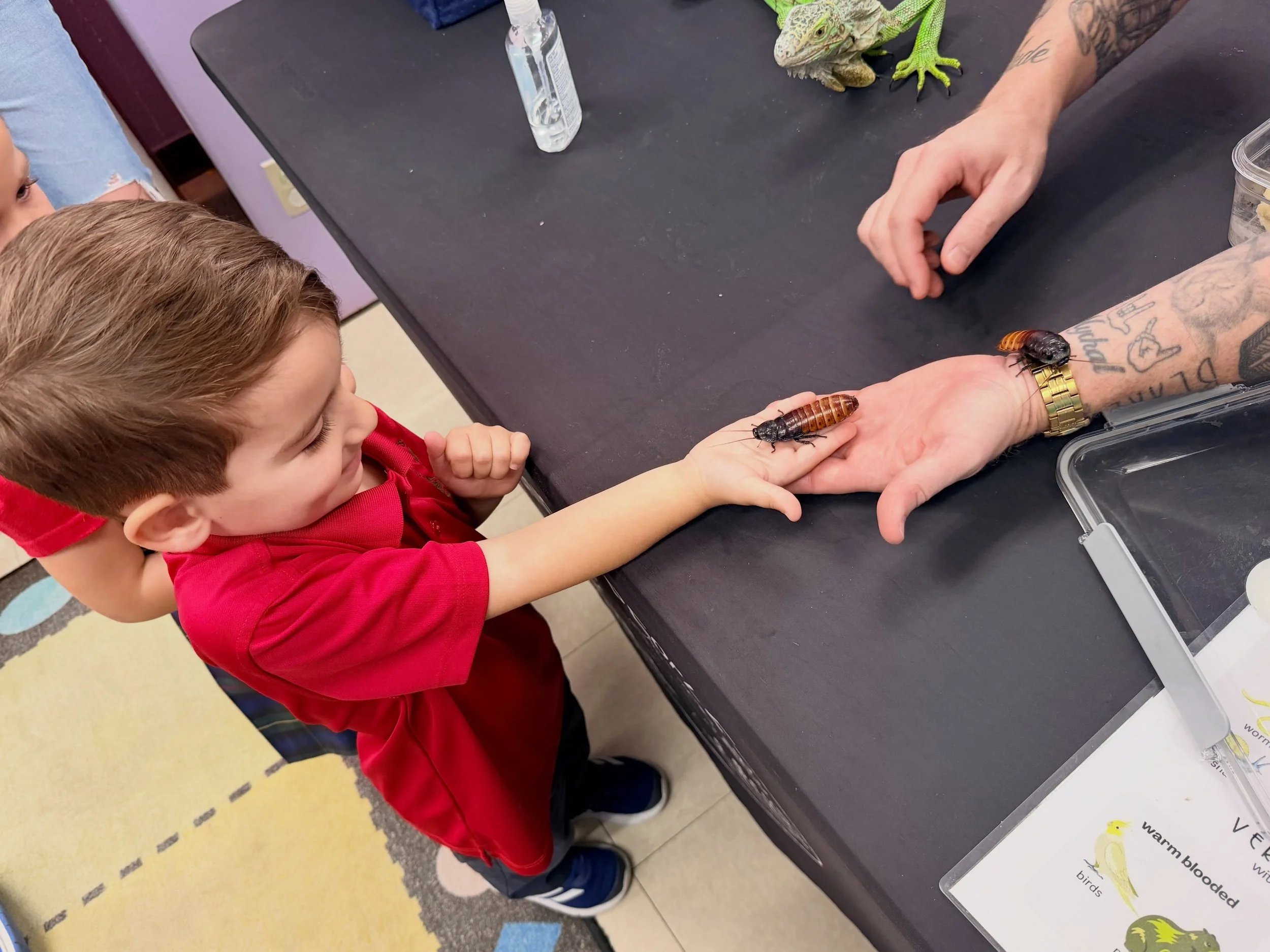 🐾 What an exciting day in preschool! 🐰🐢 Our little learners had a wonderful time meeting their friends with @animal_peopleaz! From curious eyes to big smiles, our students loved getting up close and learning about these special animals. So many fu
