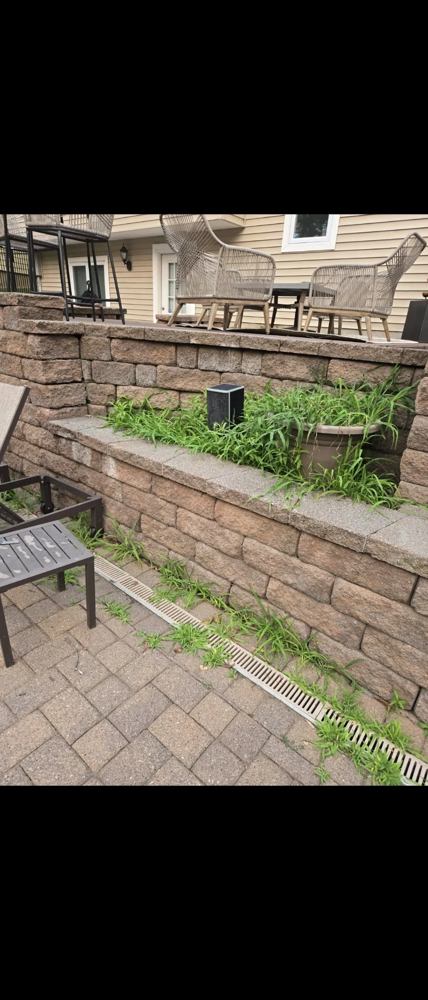 The before picture of a huge weed removal job we did. This was the beginning of the overgrowth. Done in Pompton Lakes, NJ