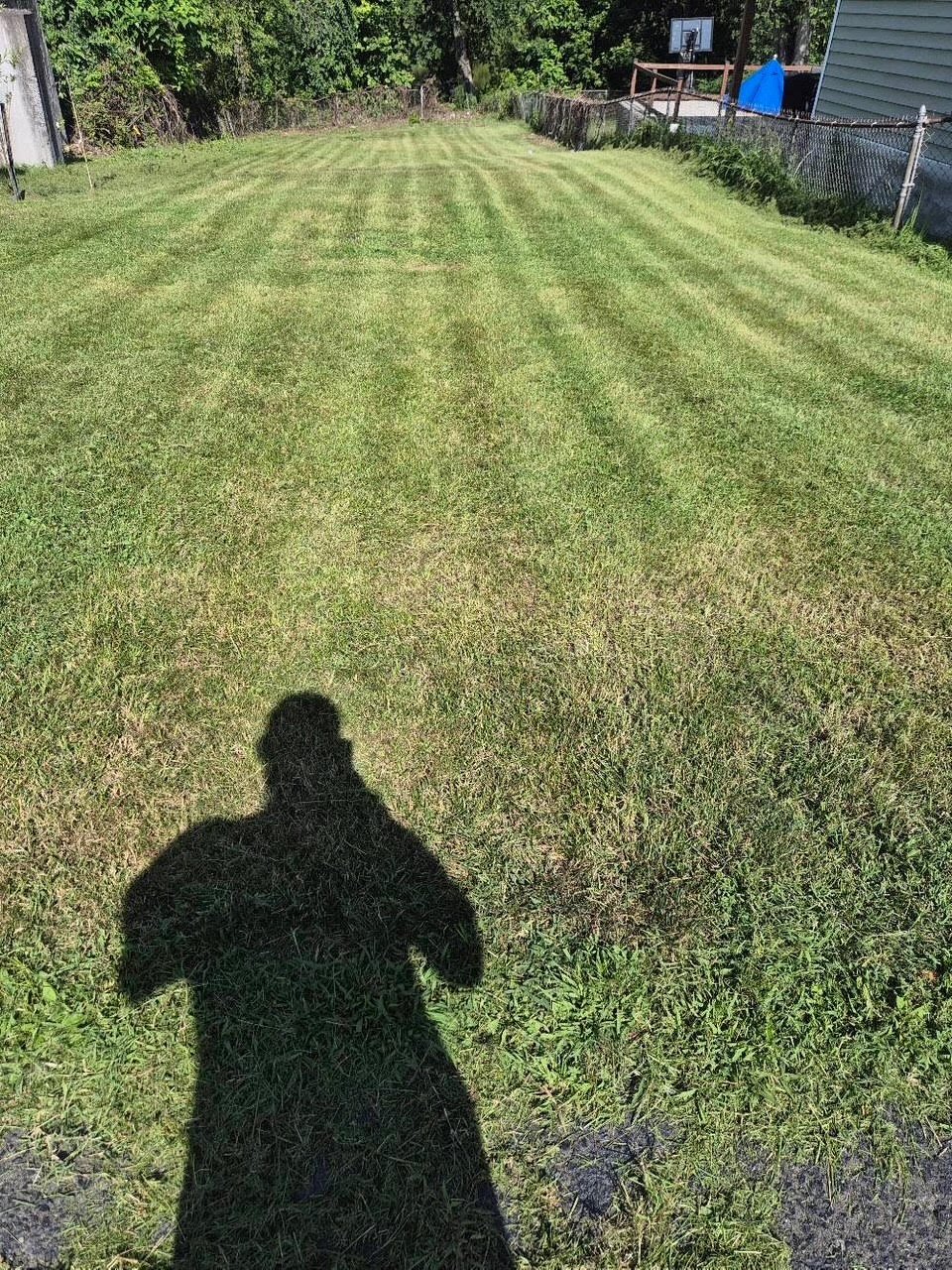 True transformation done for this lawn in Totowa, NJ.