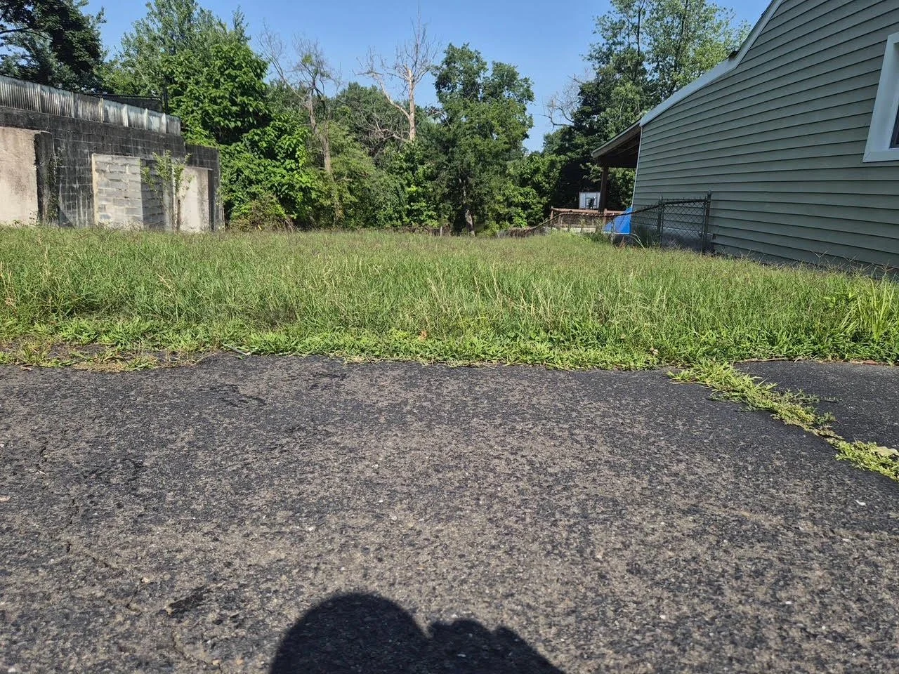 Uncut lawn for a new homeowner in Totowa, NJ.