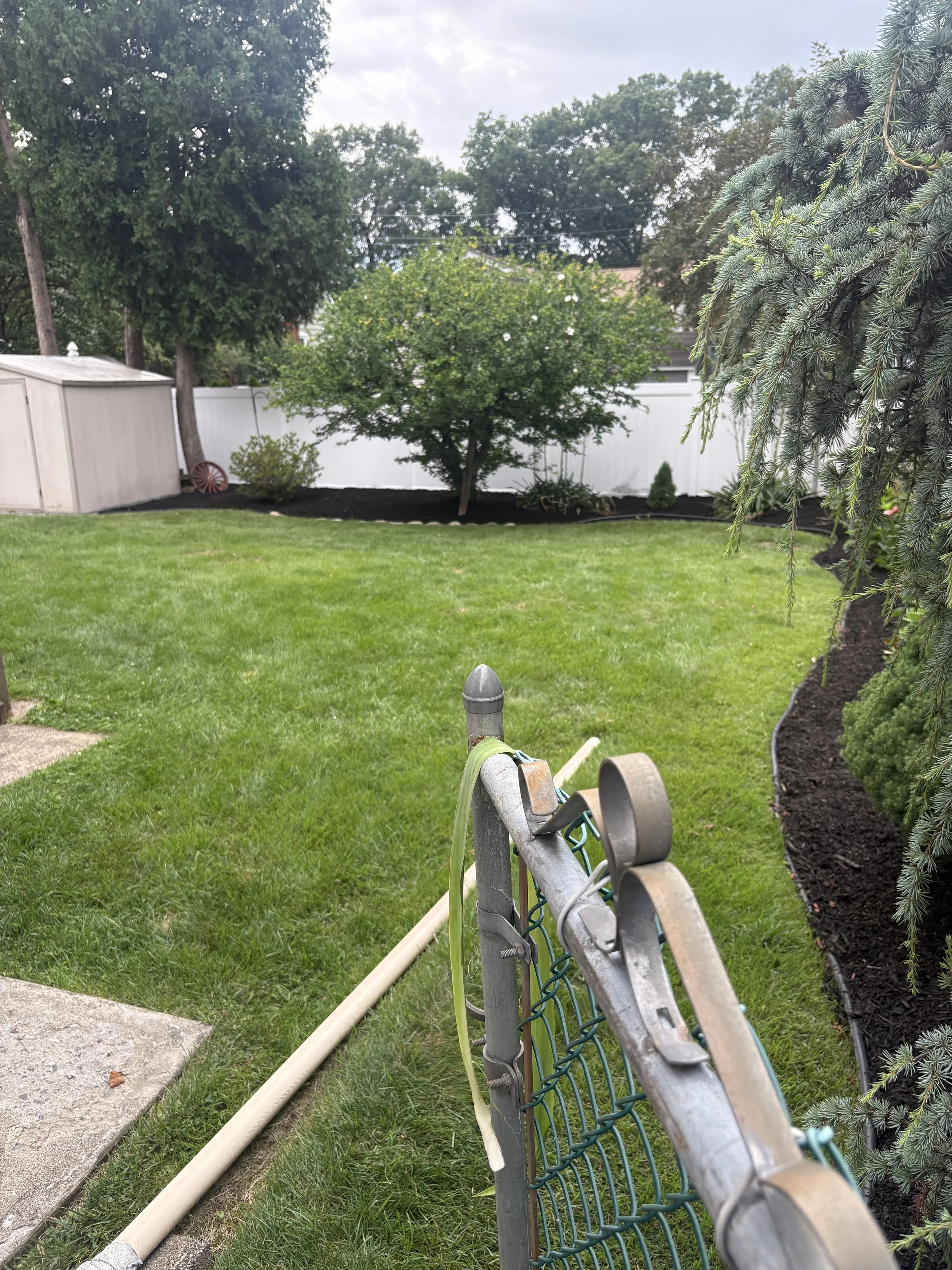 Full after photo of the mulch installation. You can see the cleanliness of the yard, the plants now pop. Work done in Wayne, NJ. 