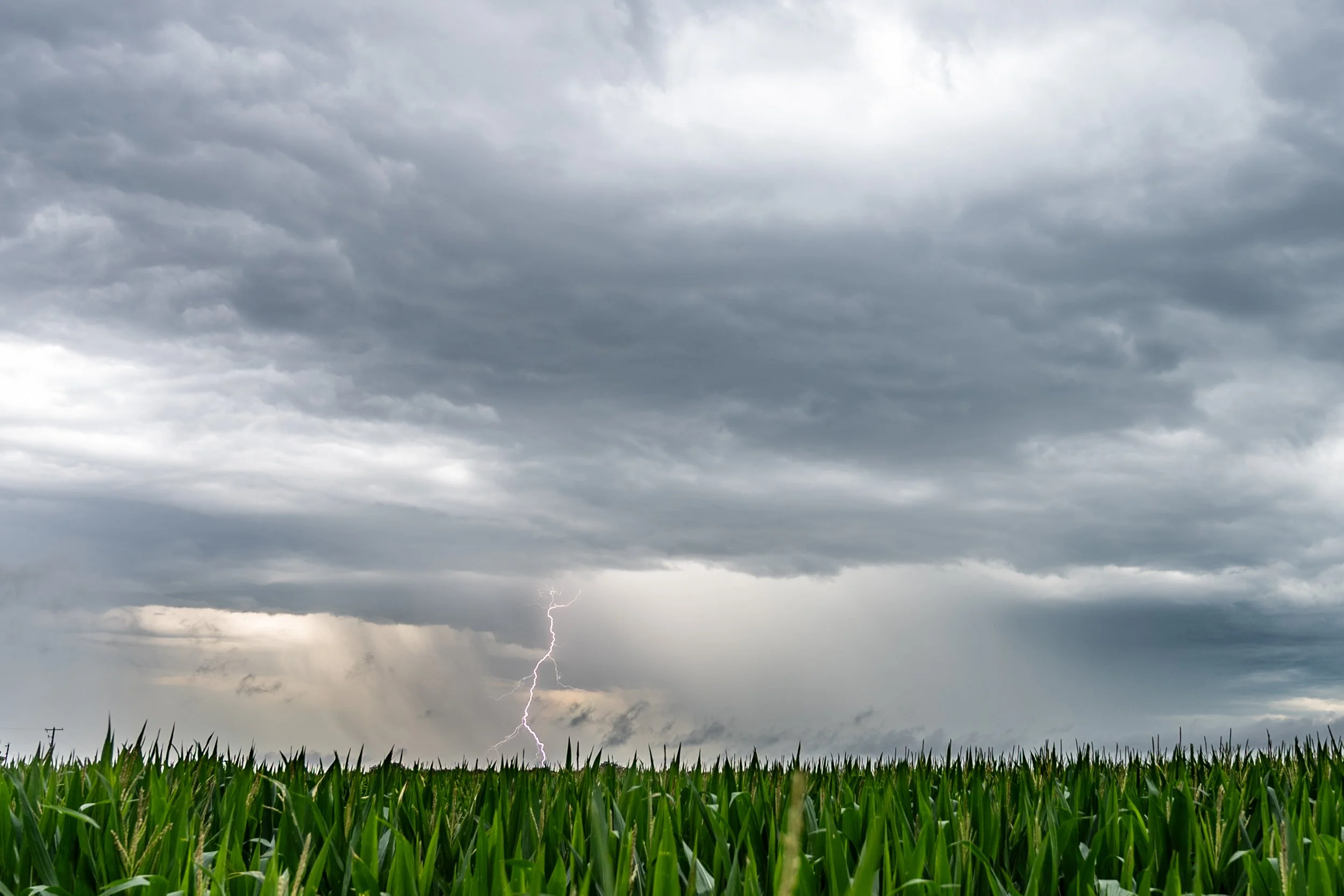 Chesnutt, Jadon-2318.jpg