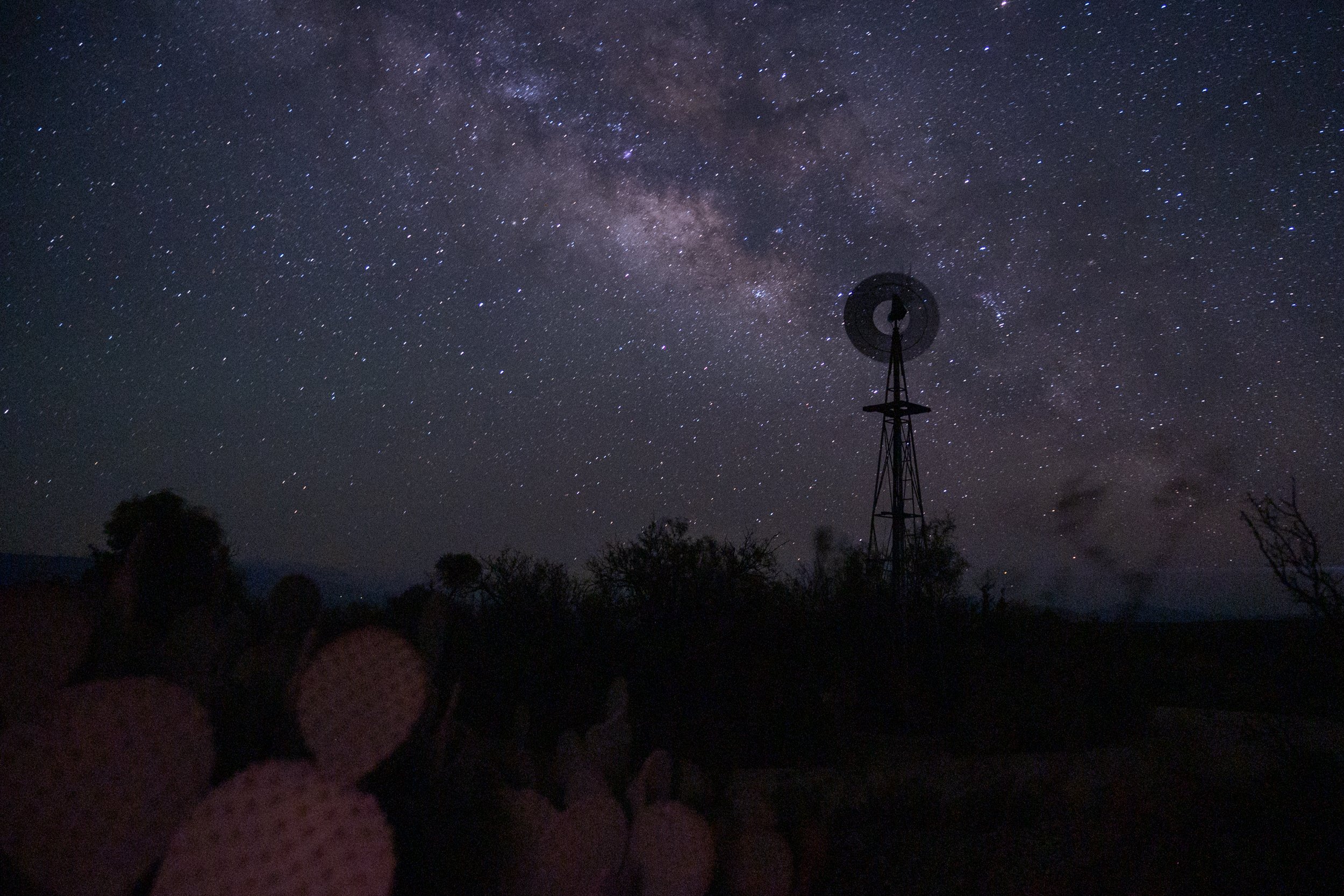 Chesnutt, Jadon-5634.jpg