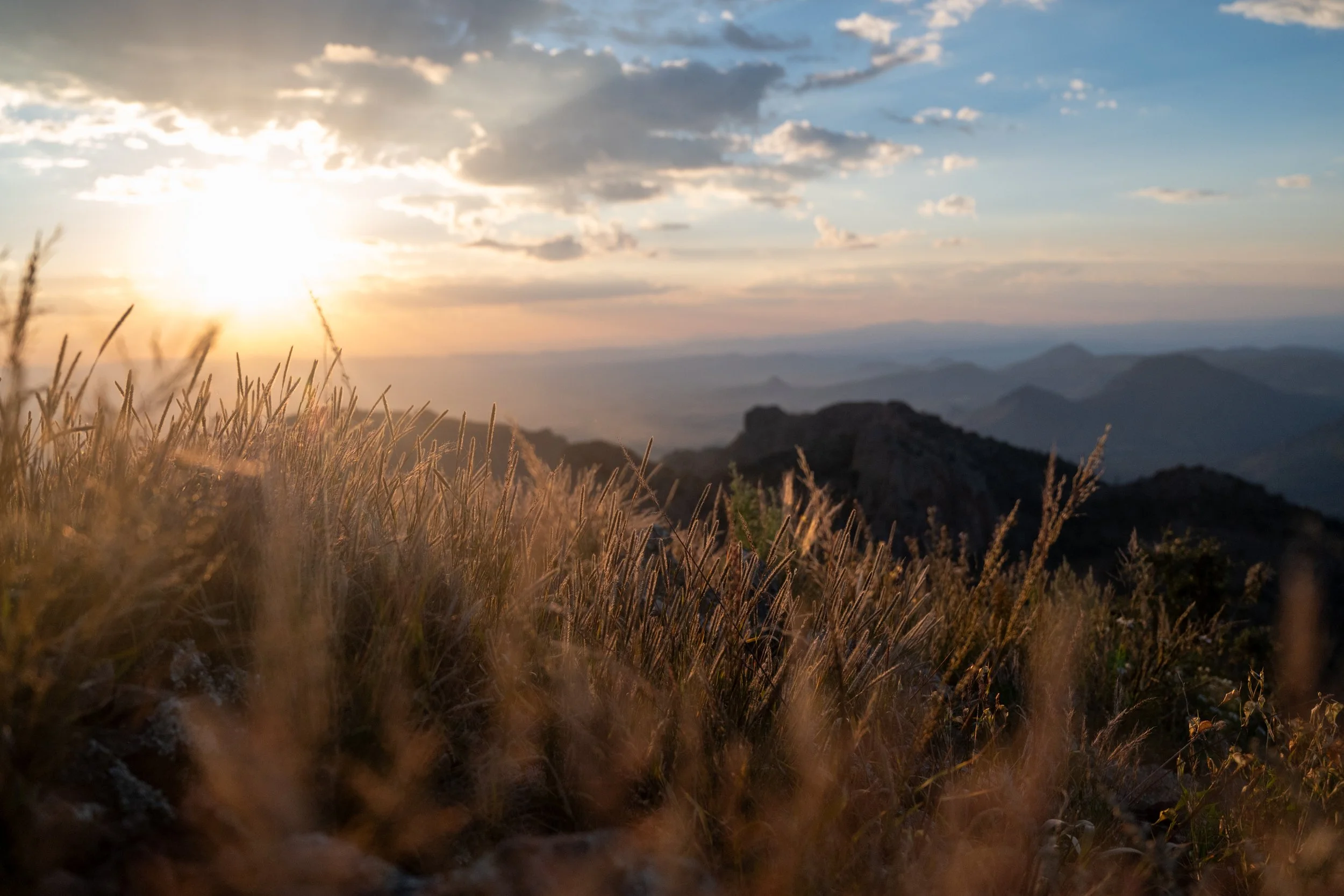 Chesnutt, Jadon-0021.jpg