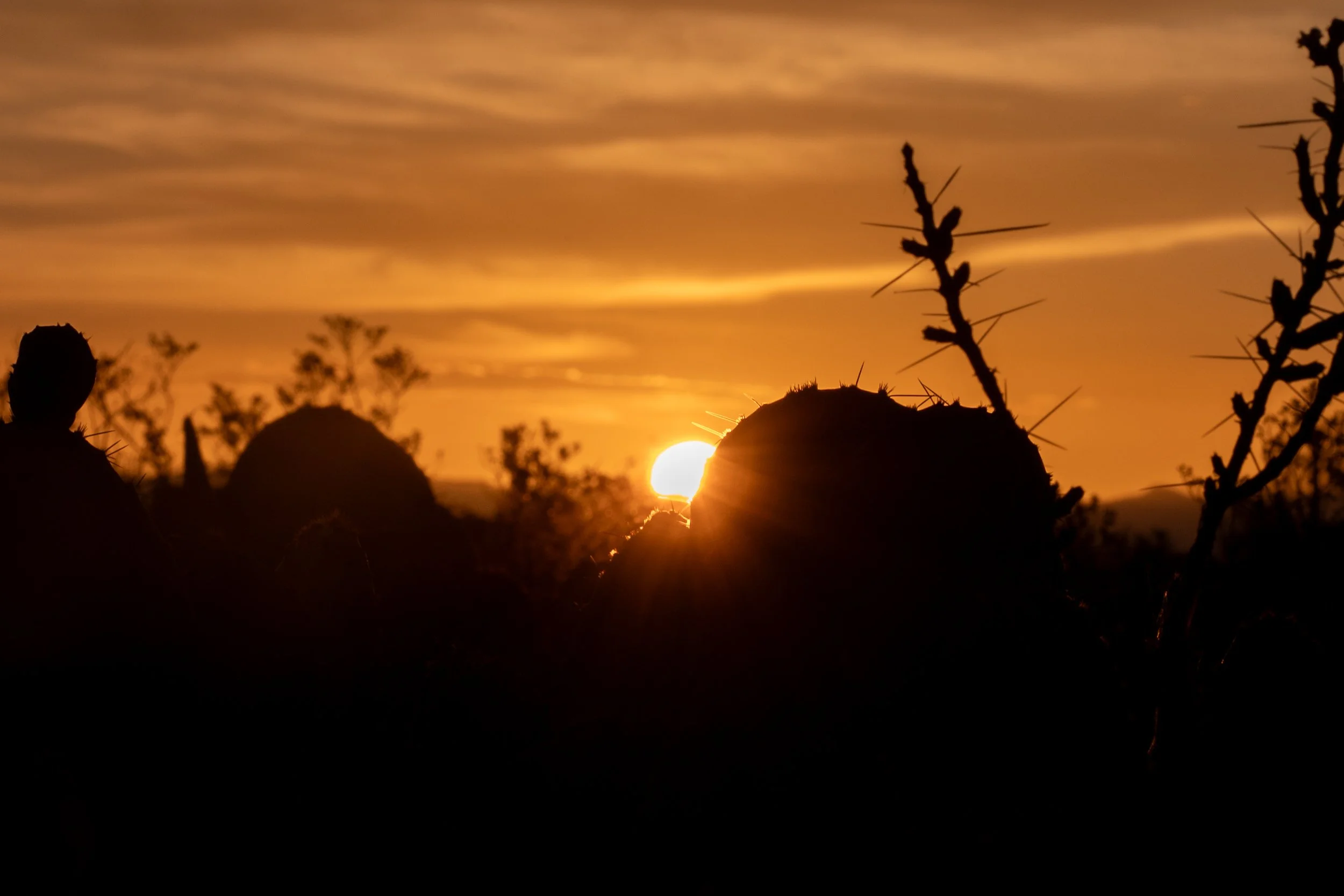 Chesnutt, Jadon-5246.jpg