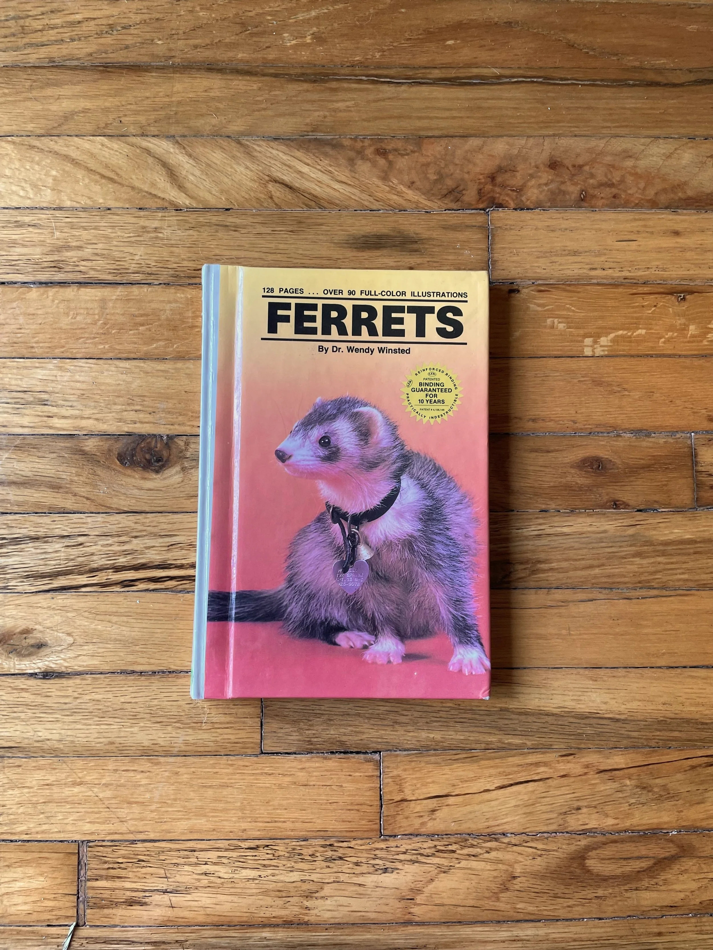 Ferrets, 1989
