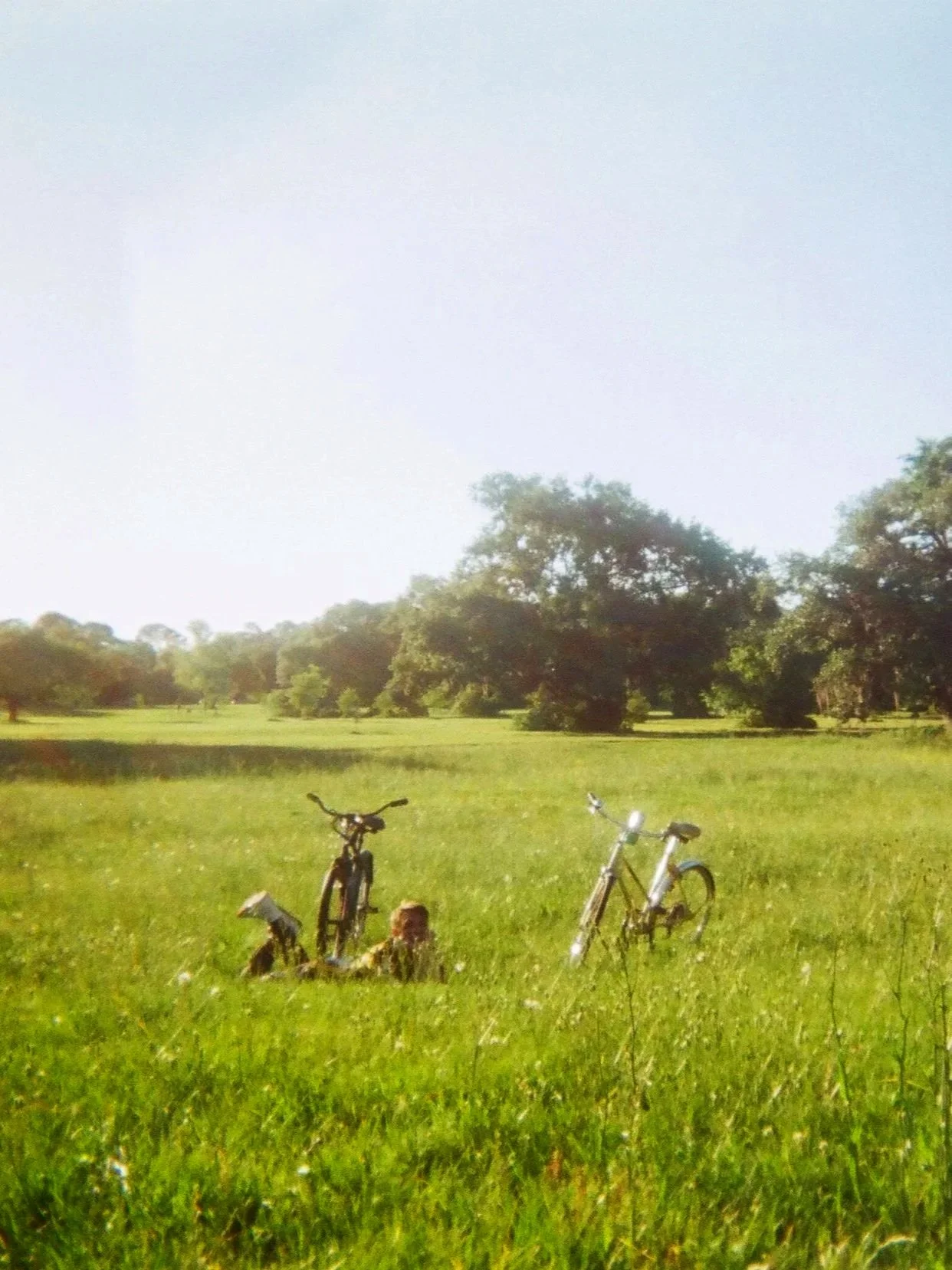 Two bicycles and a dog lying on grass in New Orleans City Park with trees in the background under a clear sky. Photo taken by Amber "Baz" Vogts