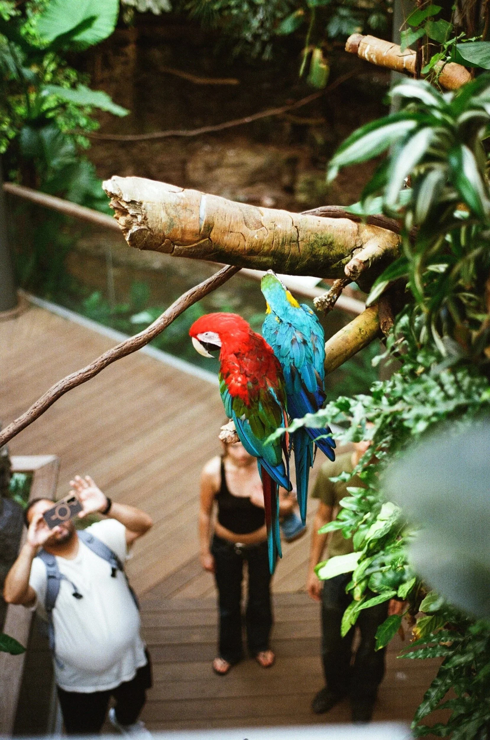 000178240028.jpg