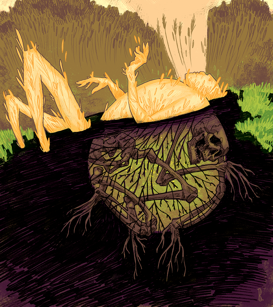 1Cor1542-ResurrectionBody-web-F.png