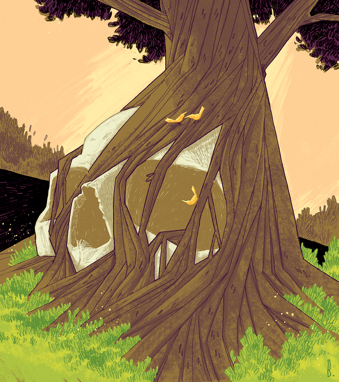 1Cor1554-Swallowed-web-F.png