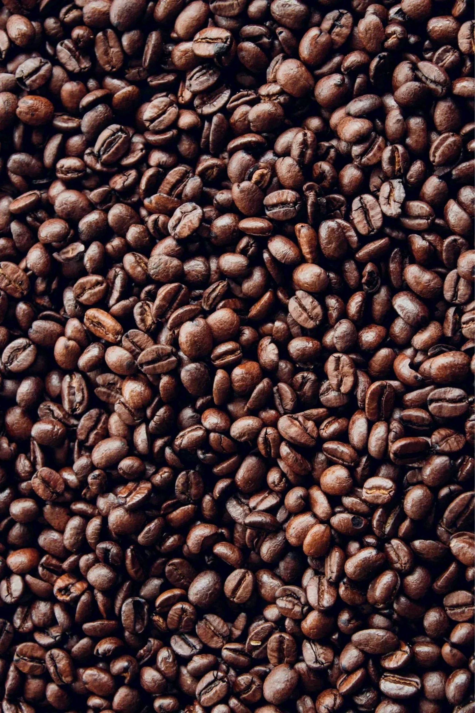 Encore! Biomatériaux - matériau conçu à partir de déchets de café ( marc de café surcyclé )