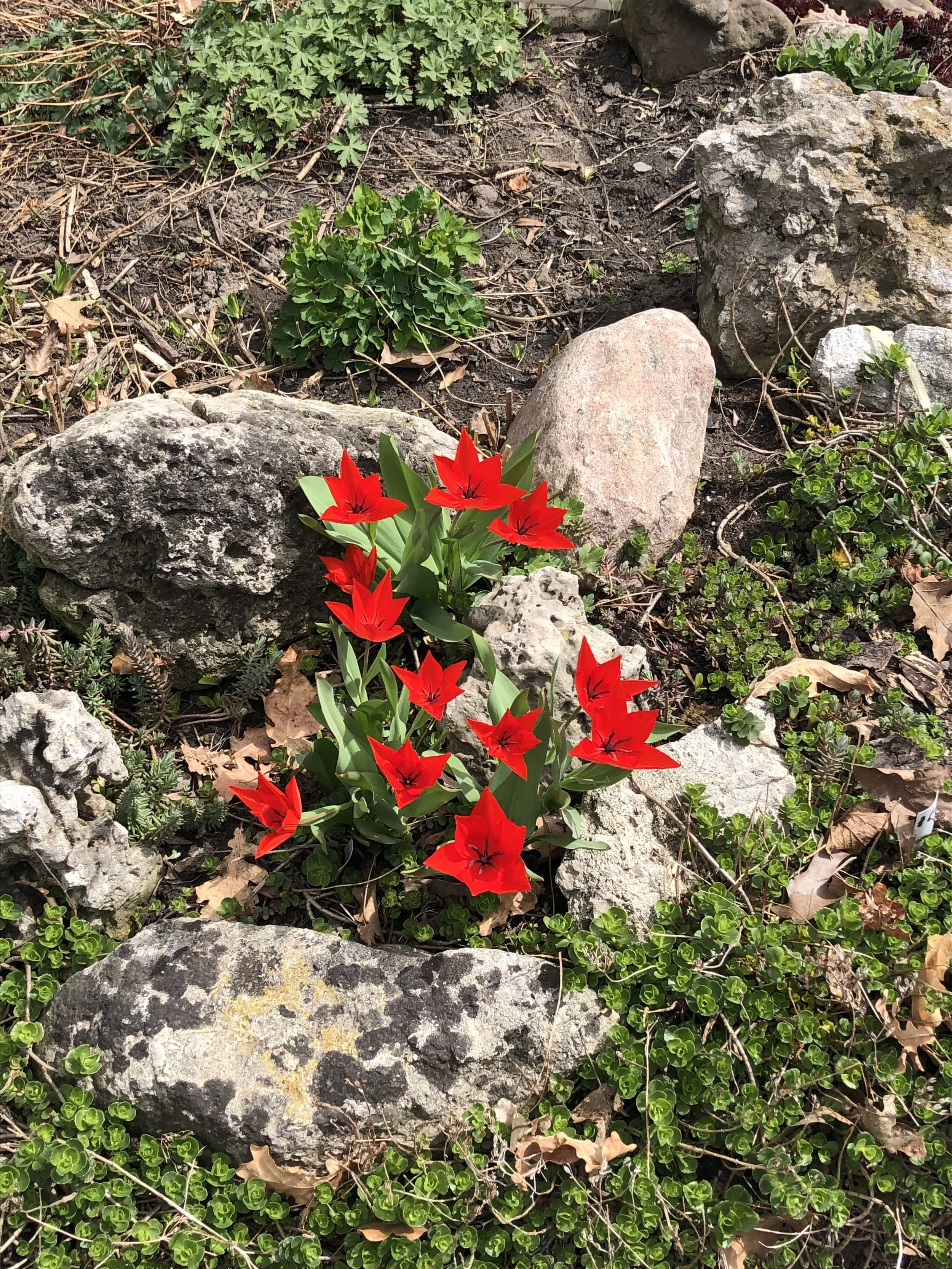 IMG_7990.jpeg