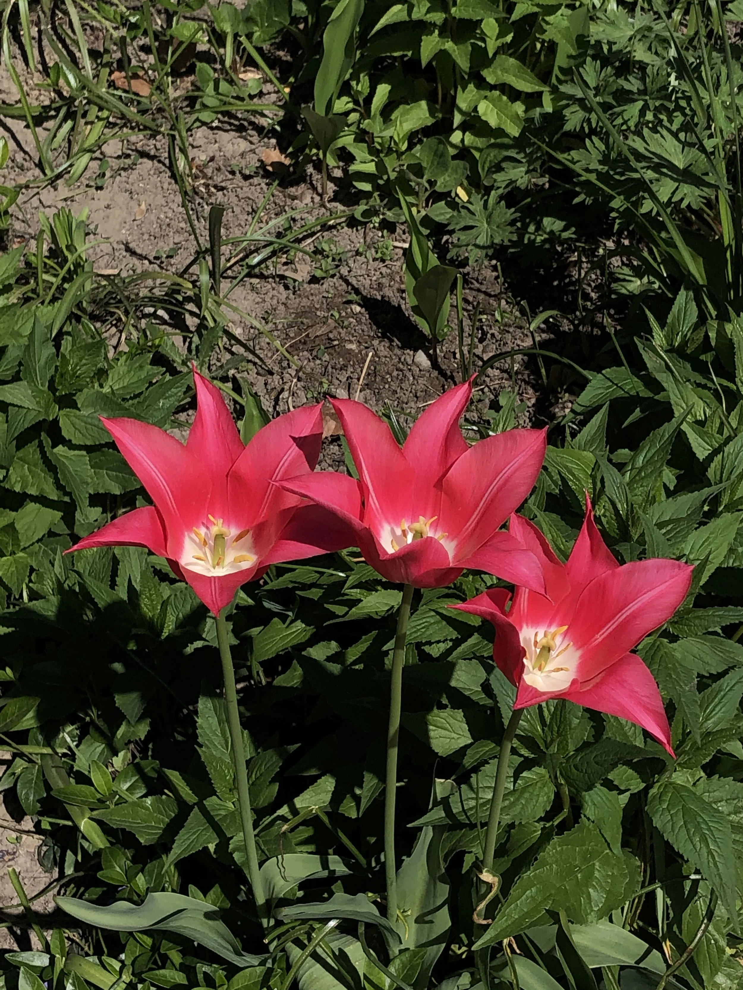 IMG_8470.jpeg