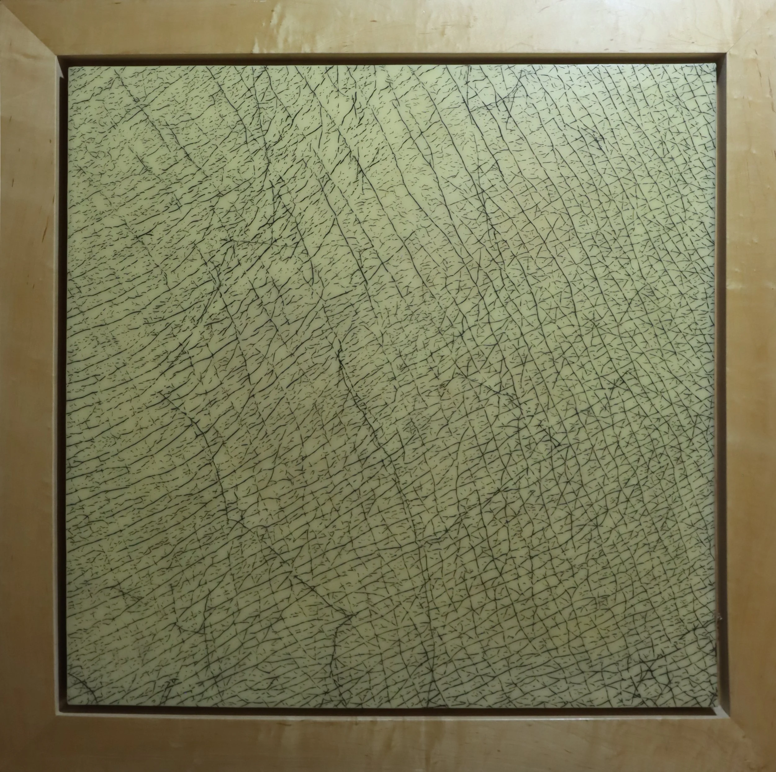 Evan Penny.
Skin #6 Series B, 1992
beeswax intaglio on board
31.5" x 31.5"