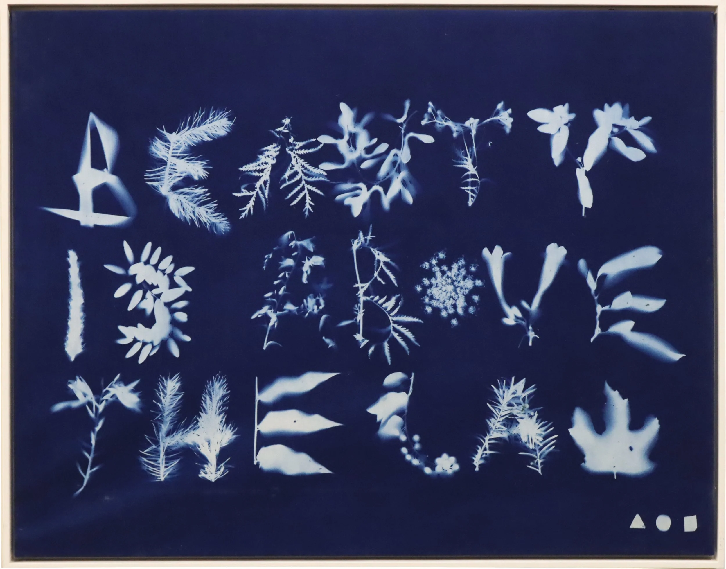 Andrew Owen.
Beauty Is Above The Law, 2021
photo transfer
28" x 36"