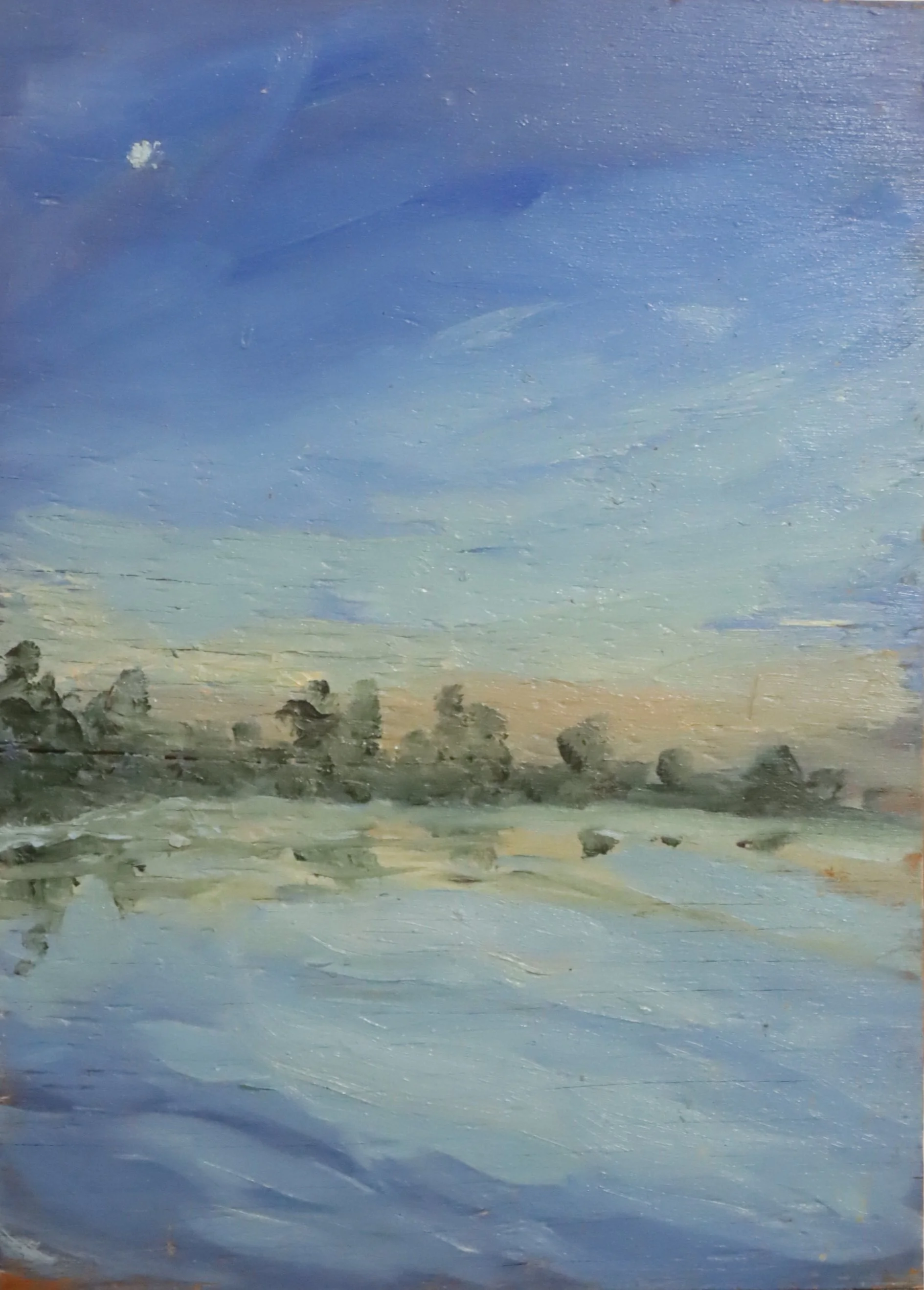 Rae Johnson.
Untitled, June 1, 1991
oil on board
12" x 17"