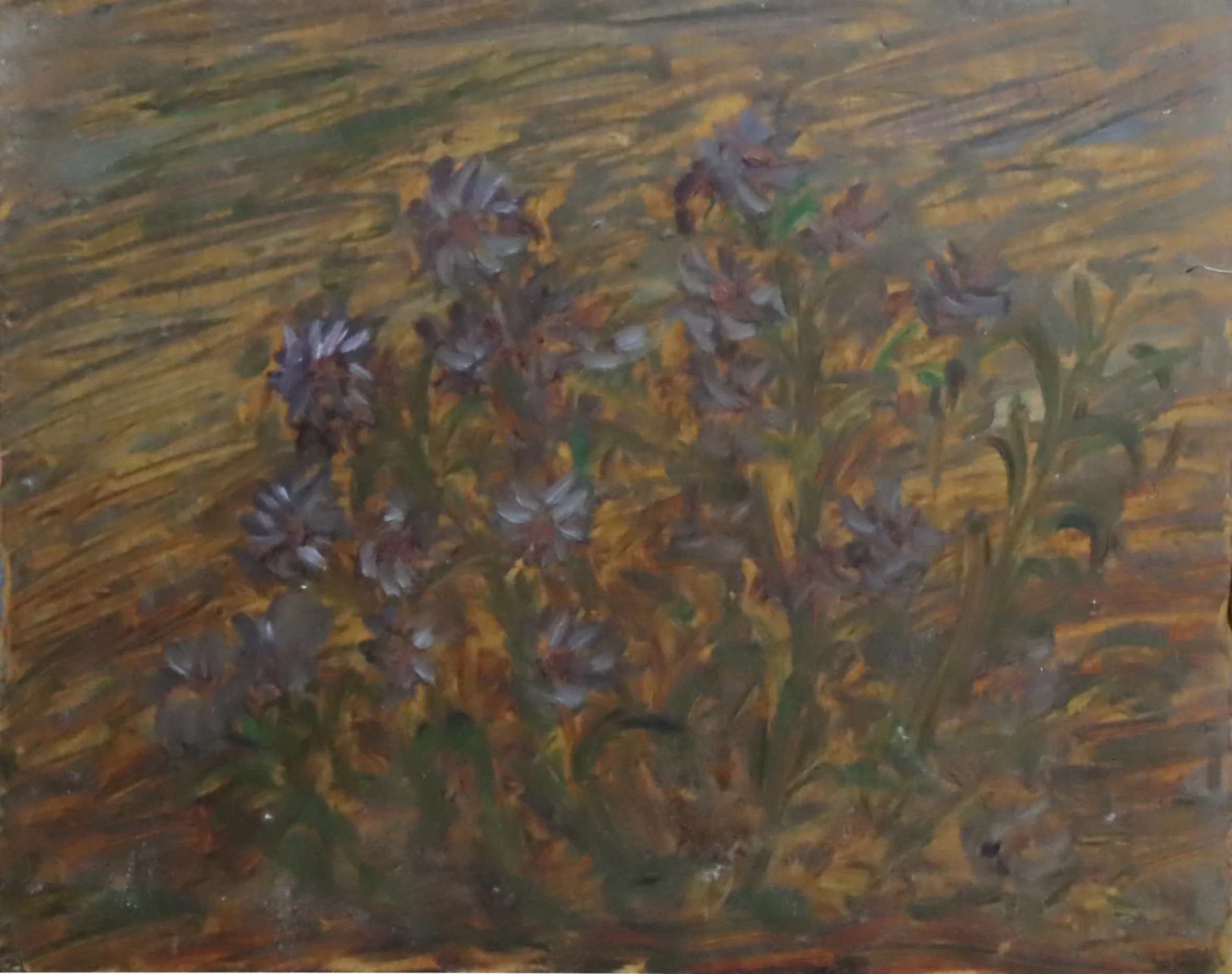 Rae Johnson.
High Park Study Micro, 2000
oil on board
11" x 9"