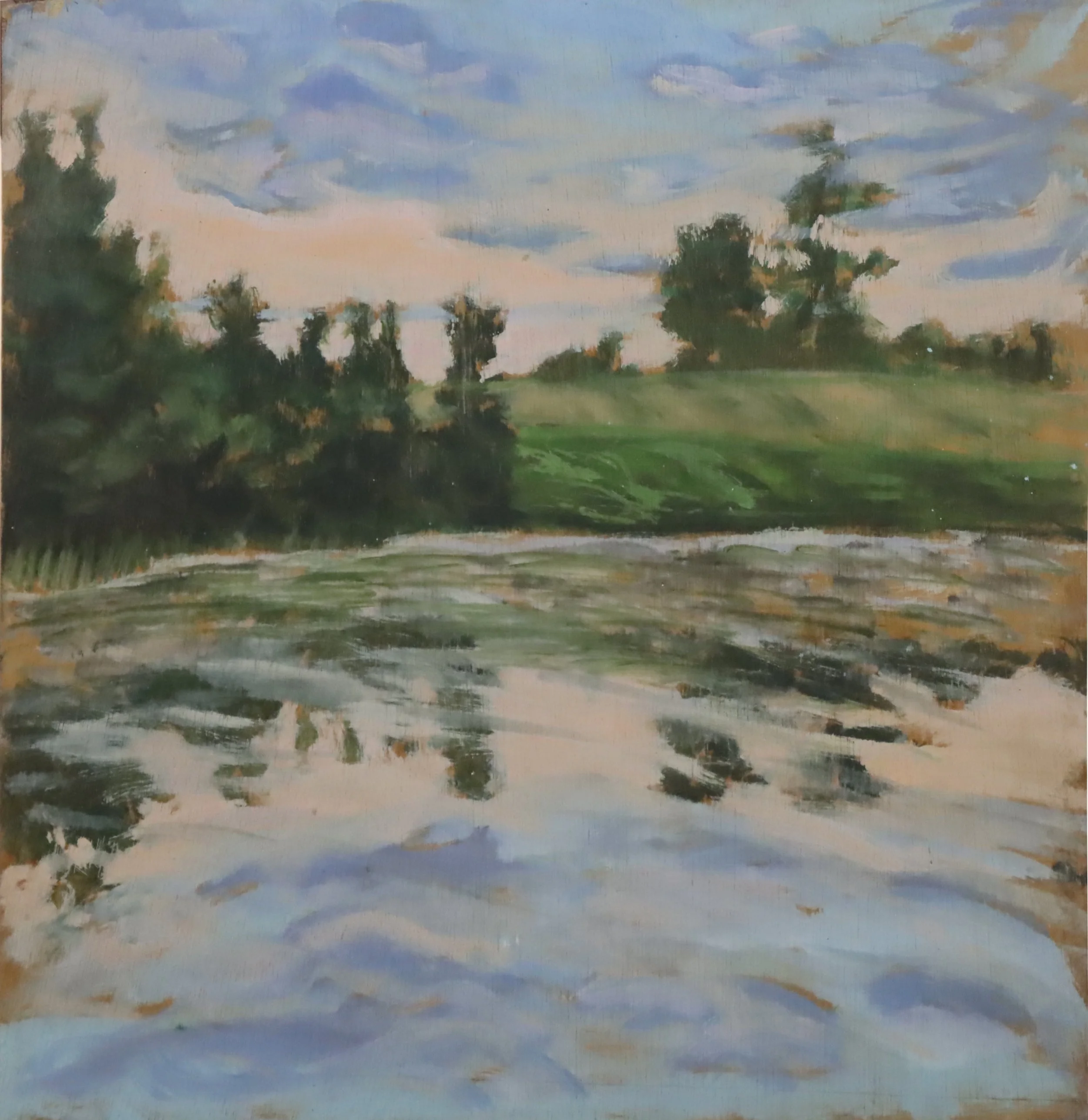 Rae Johnson
oil on board
18" x 18.5"