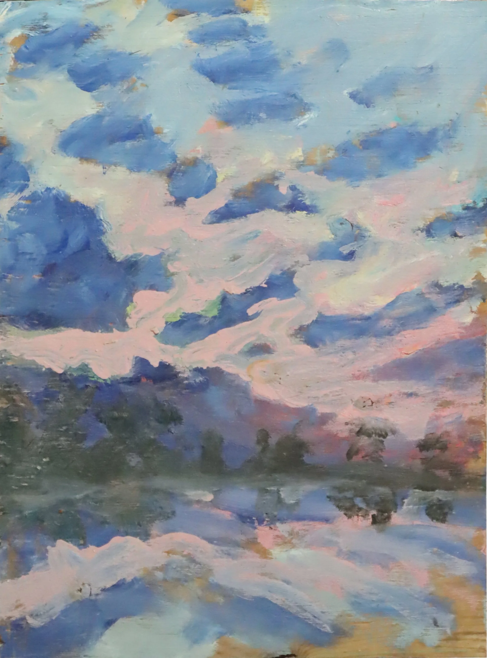 Rae Johnson.
#2, May 22, 1991
oil on board
12" x 16"