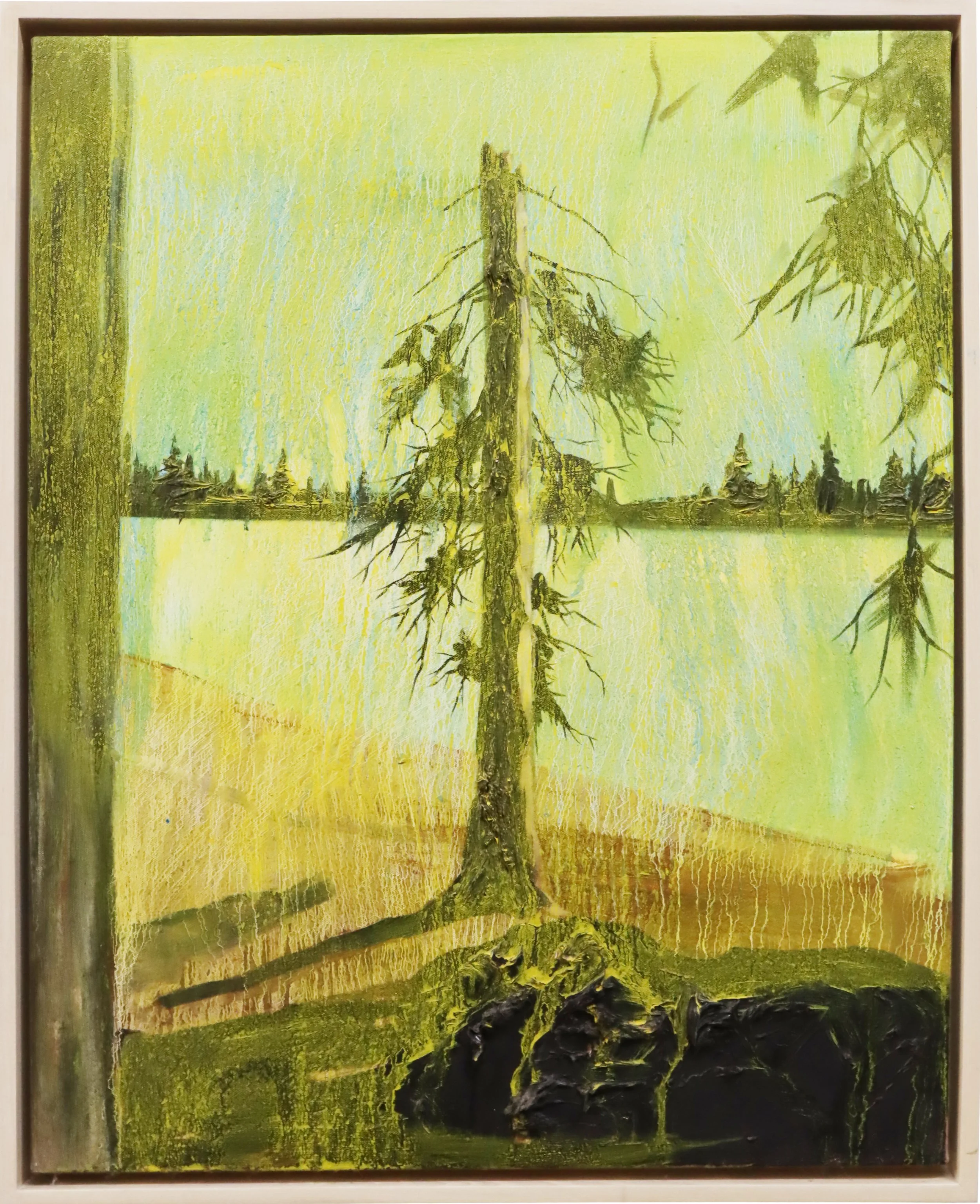 Kim Dorland.
Sun Stained Emma Lake, 2011
acrylic on board
24" x 30"