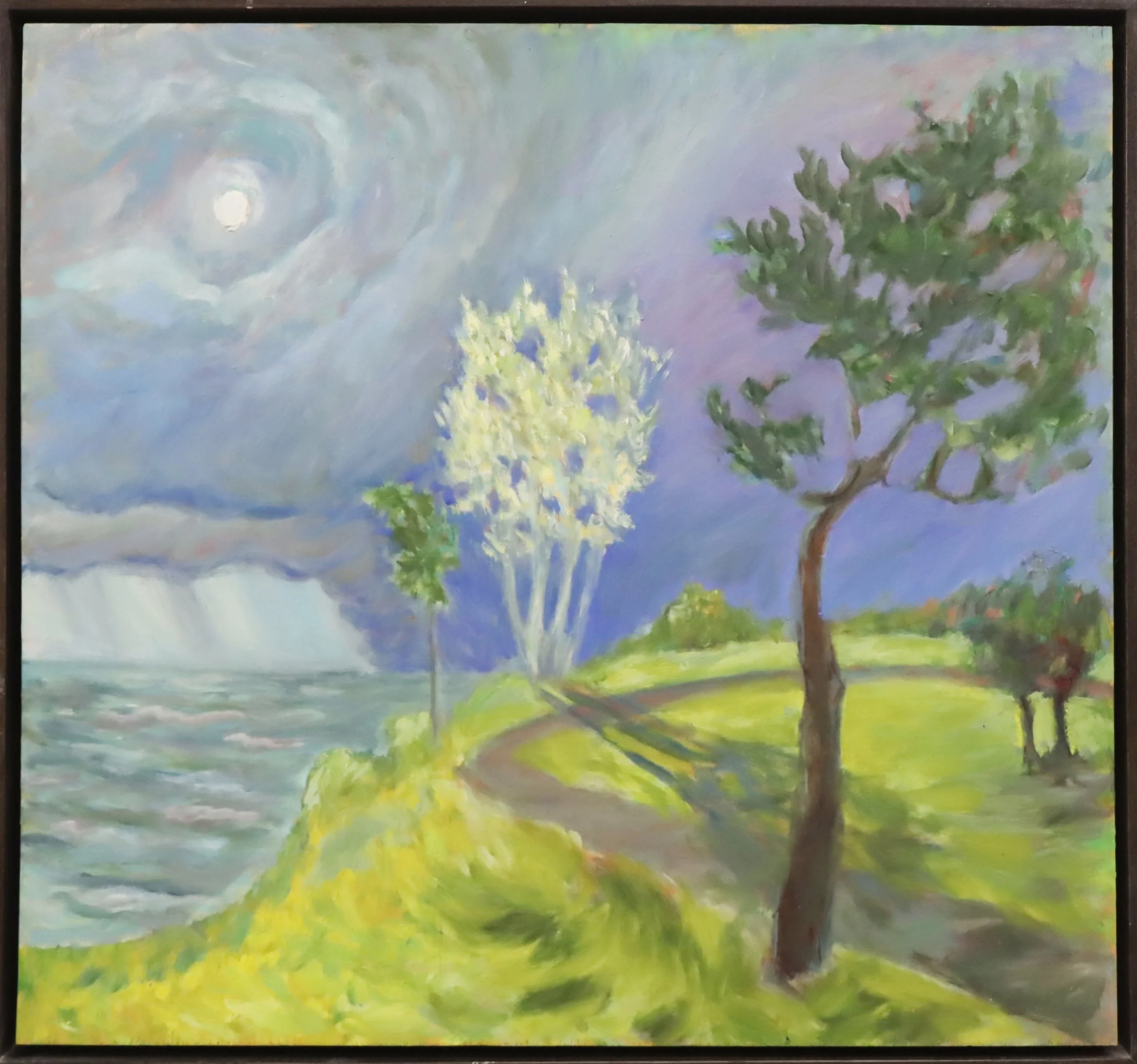 Rae Johnson.
Lake Winnipeg Dream, 2000
acrylic on board
24" x 25.5"