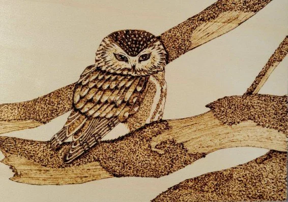 Jadyn Deming.
Cozy Lookout, 2025
pyrography on wood
10" x 7.5"
$150