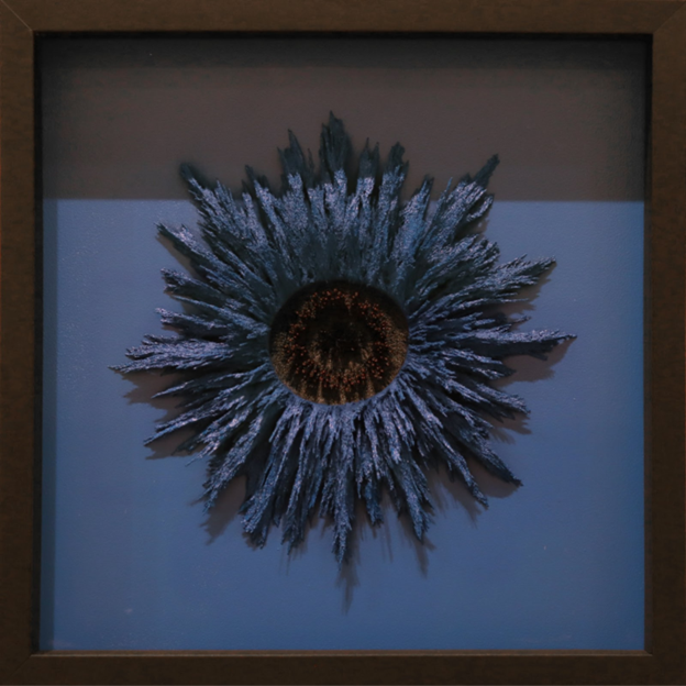 Alex Chorny.
Untitled, 2024 (24-035)
magnetized mixed media on wood panel
19.75" x 19.75"
$2,000