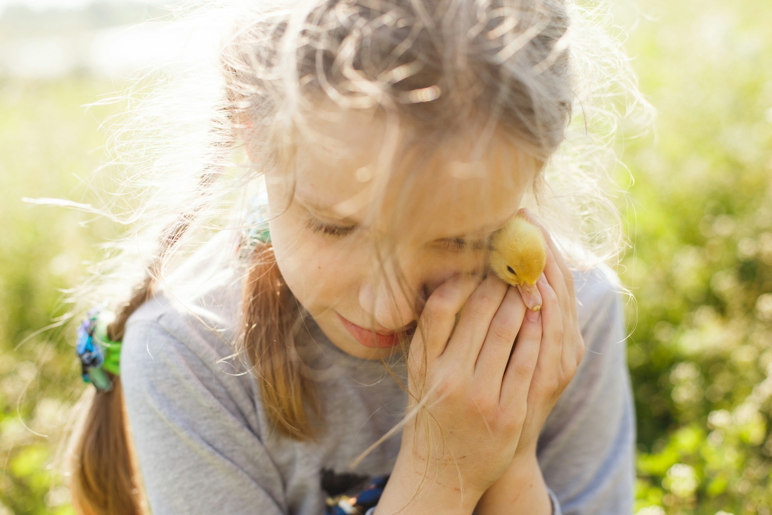 A young girl with curly hair holding a yellow chick close to her face outdoors during daytime.