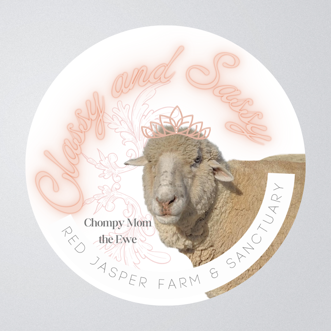 Classy and Sassy Chompy Mom sticker Mockup(1).png