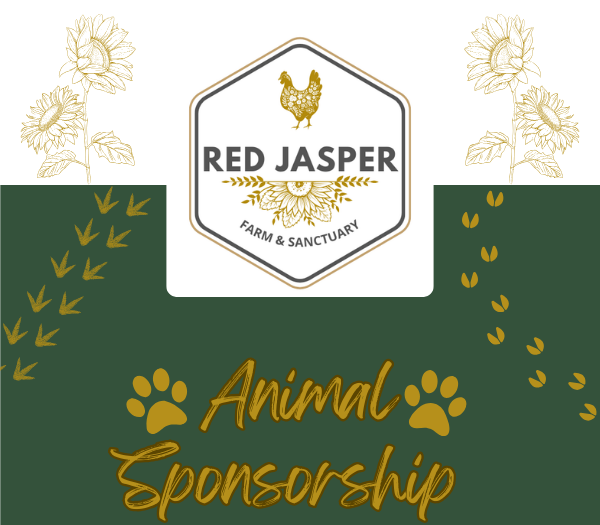 Animal sponsor