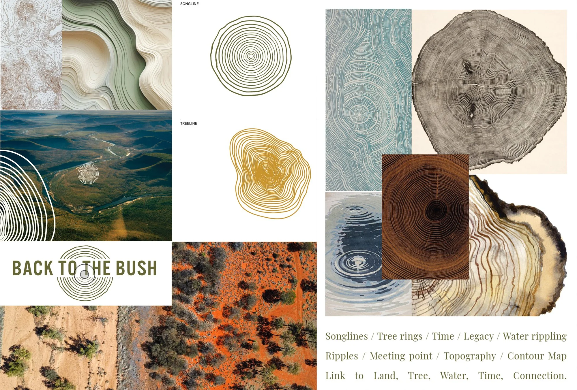 A mood board for the brand identity of not-for-profit Back to the bush. Shows creative direction for design element with organic rings on a tree trunk or topographical contour lines.
