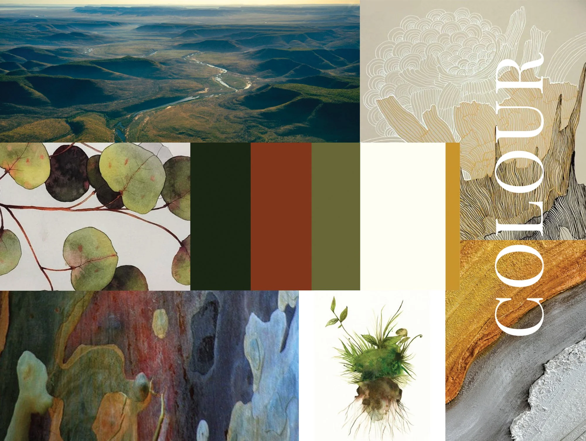 Shoes a brand identity colour palette mood board depicting an eco-organic palette of rust, green, eucalypt and sandstone.