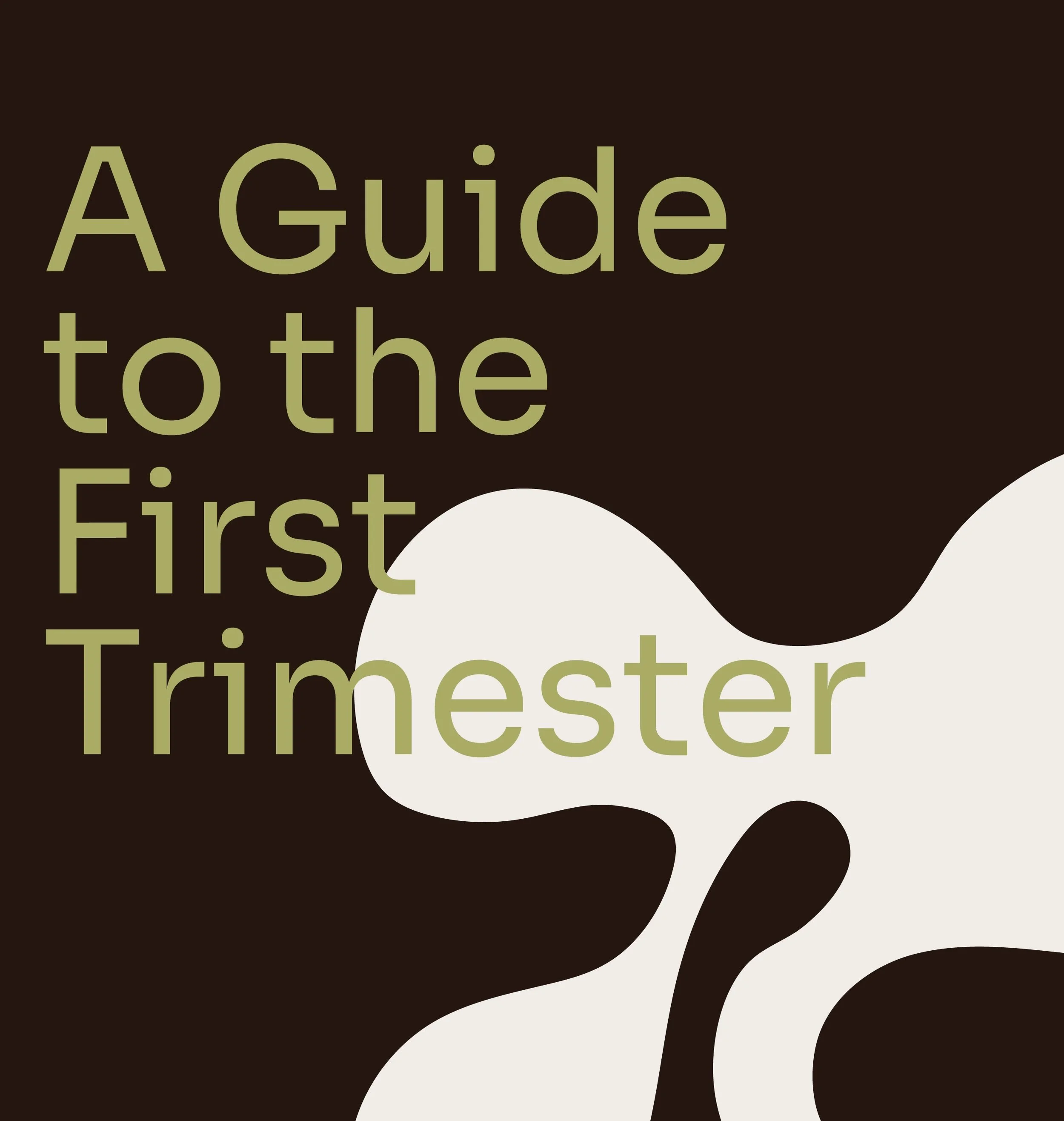 A Guide to the First Trimester-Renee D’Arcy.jpg.jpeg