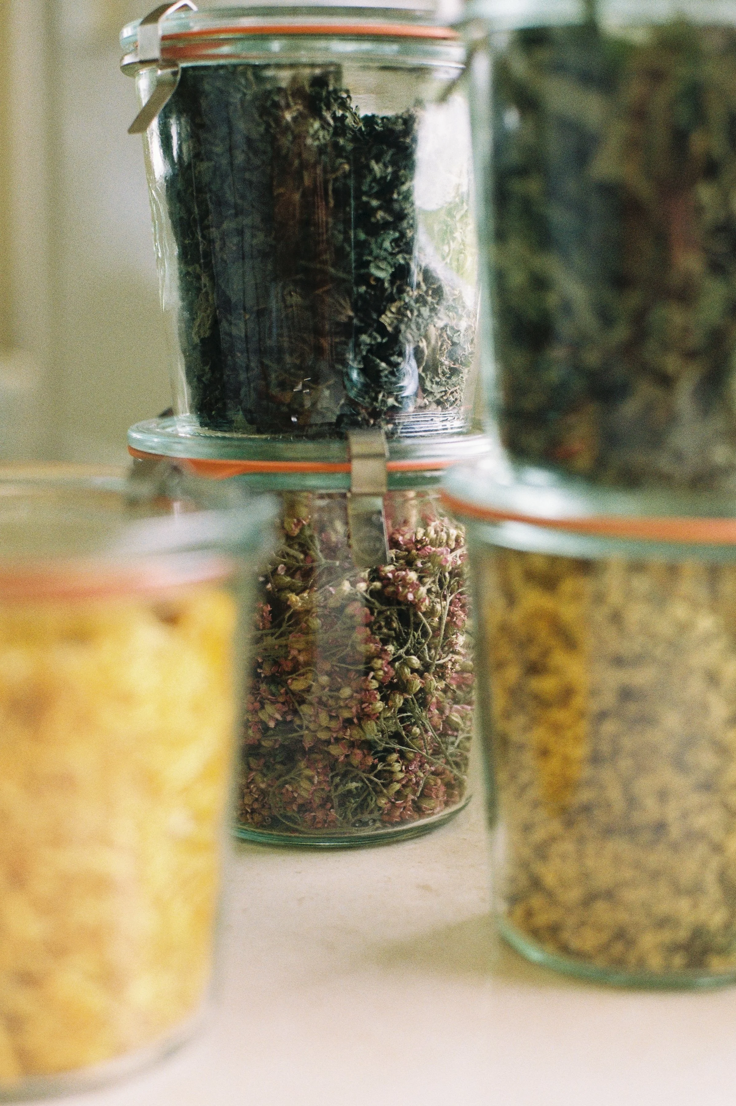 Glass jars filled with dried herbs and flowers