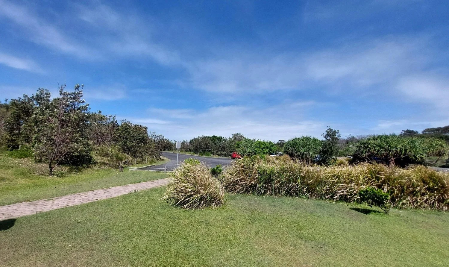 Look-At-Me-Now-Headland-walk-to-carpark.jpg