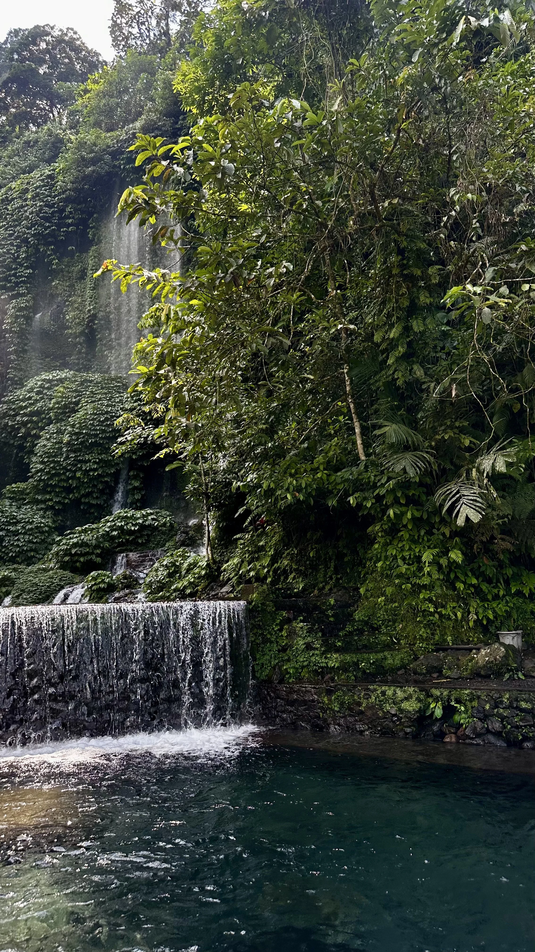Natural waterfall pool surrounded by jungle near Benang Kelambu in Lombok