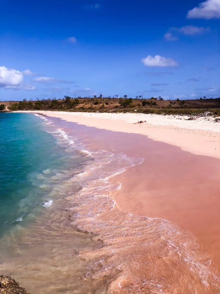 Pink sand beach and turquoise water at Pink Beach in Lombok