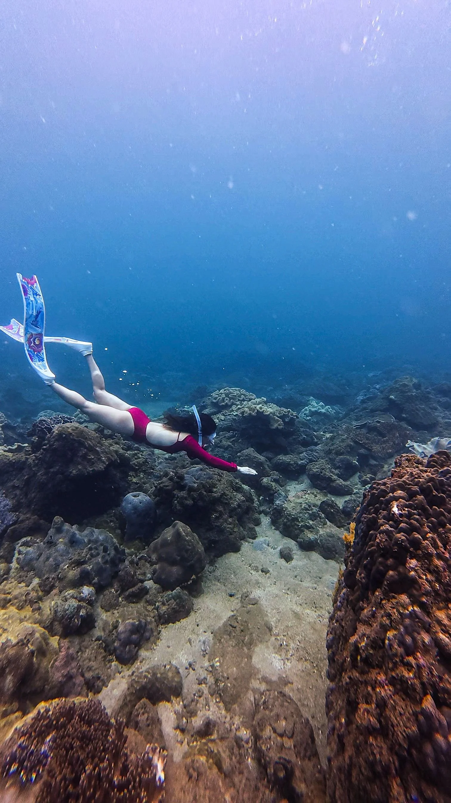 Traveller snorkelling over coral near Gili Kedis in Lombok