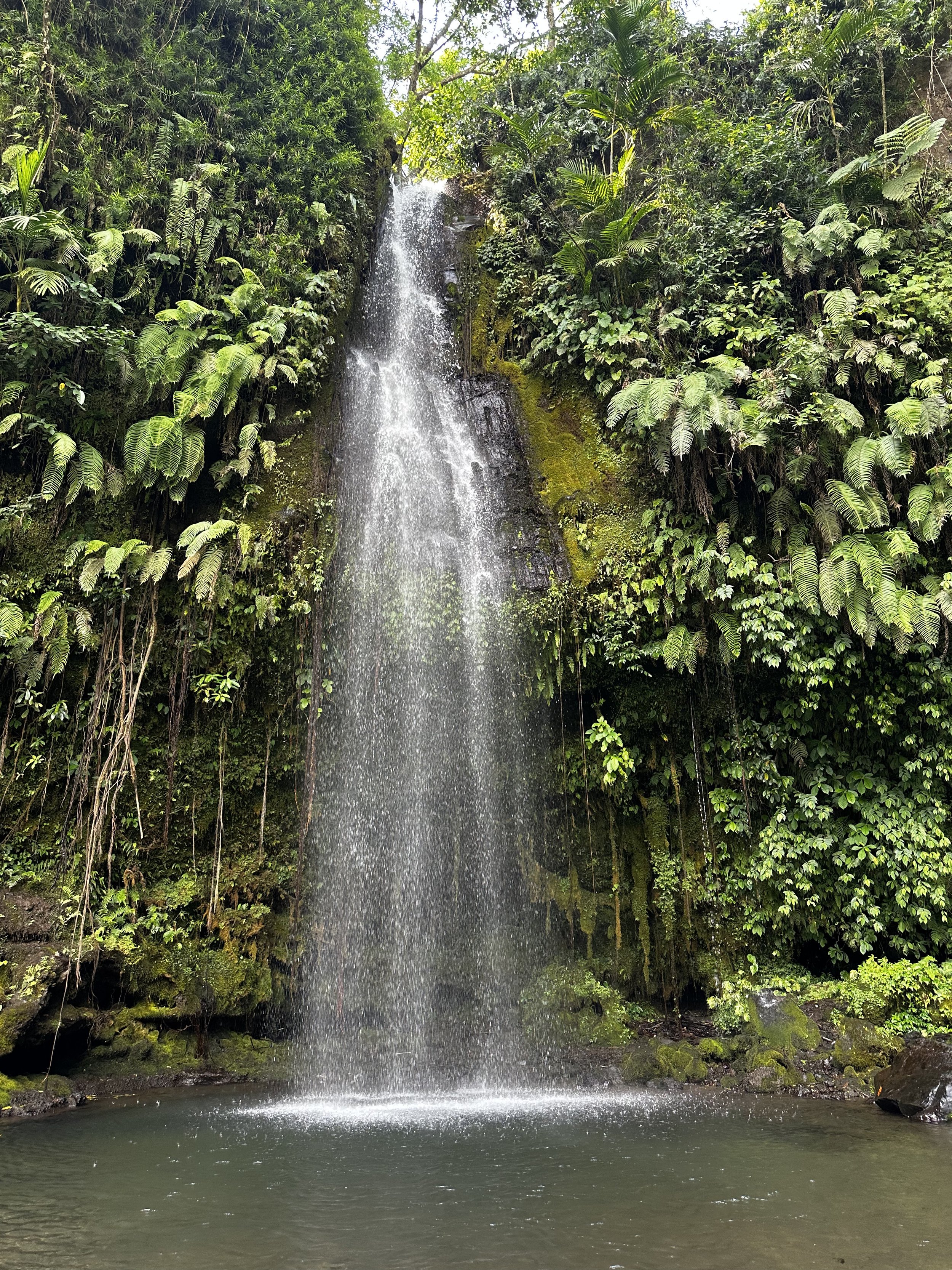 Close view of Benang Stokel Waterfall surrounded by dense tropical greenery